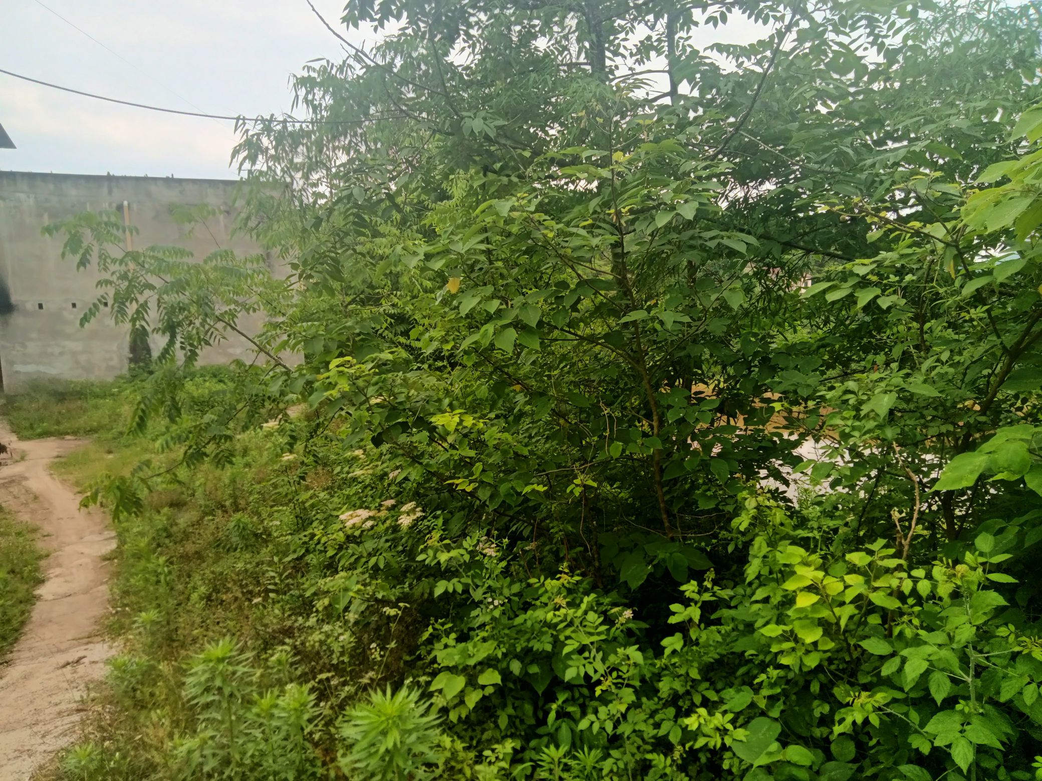 都京山生态区旅行图片