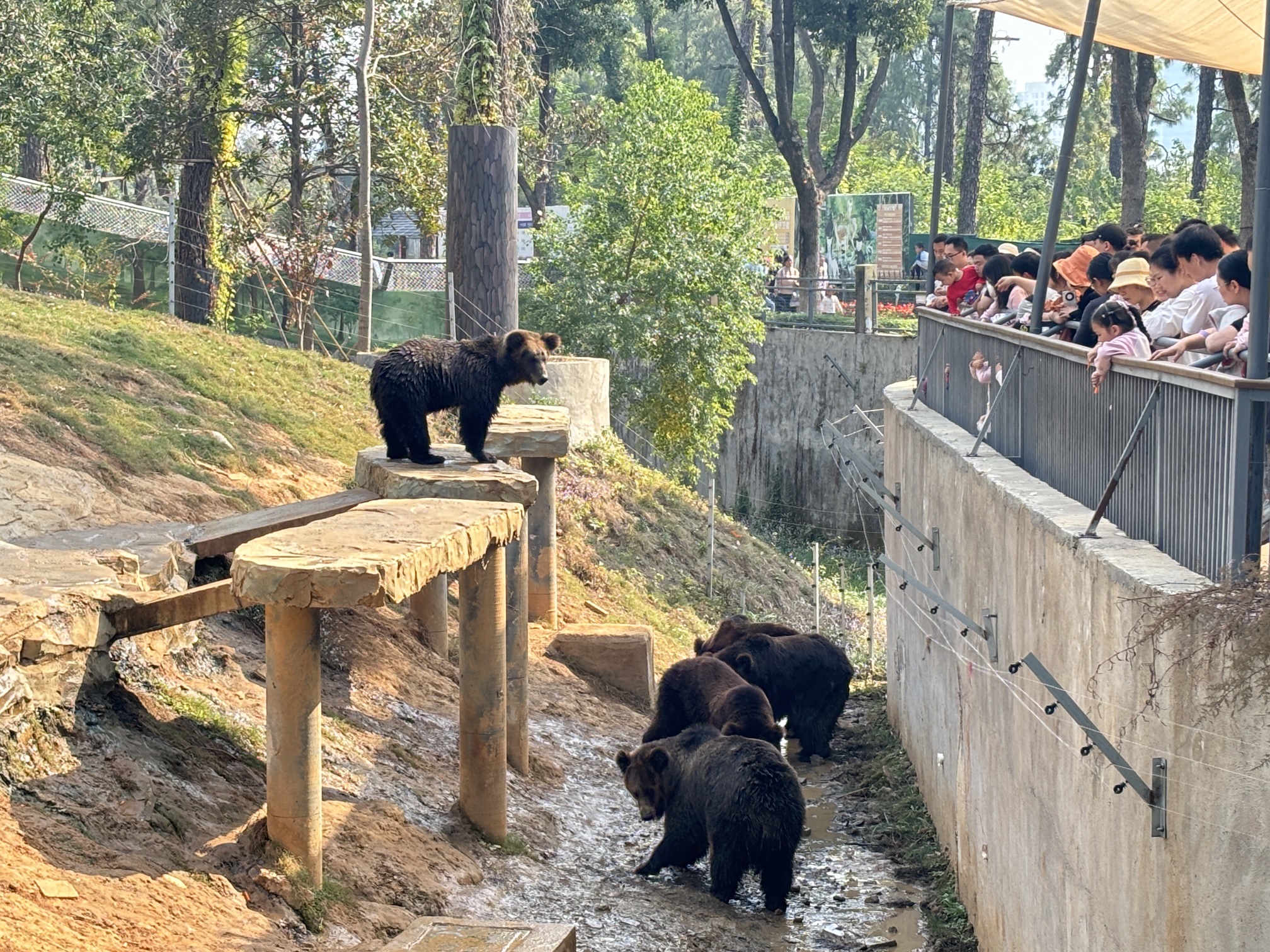 九峰国家森林公园旅行图片 3