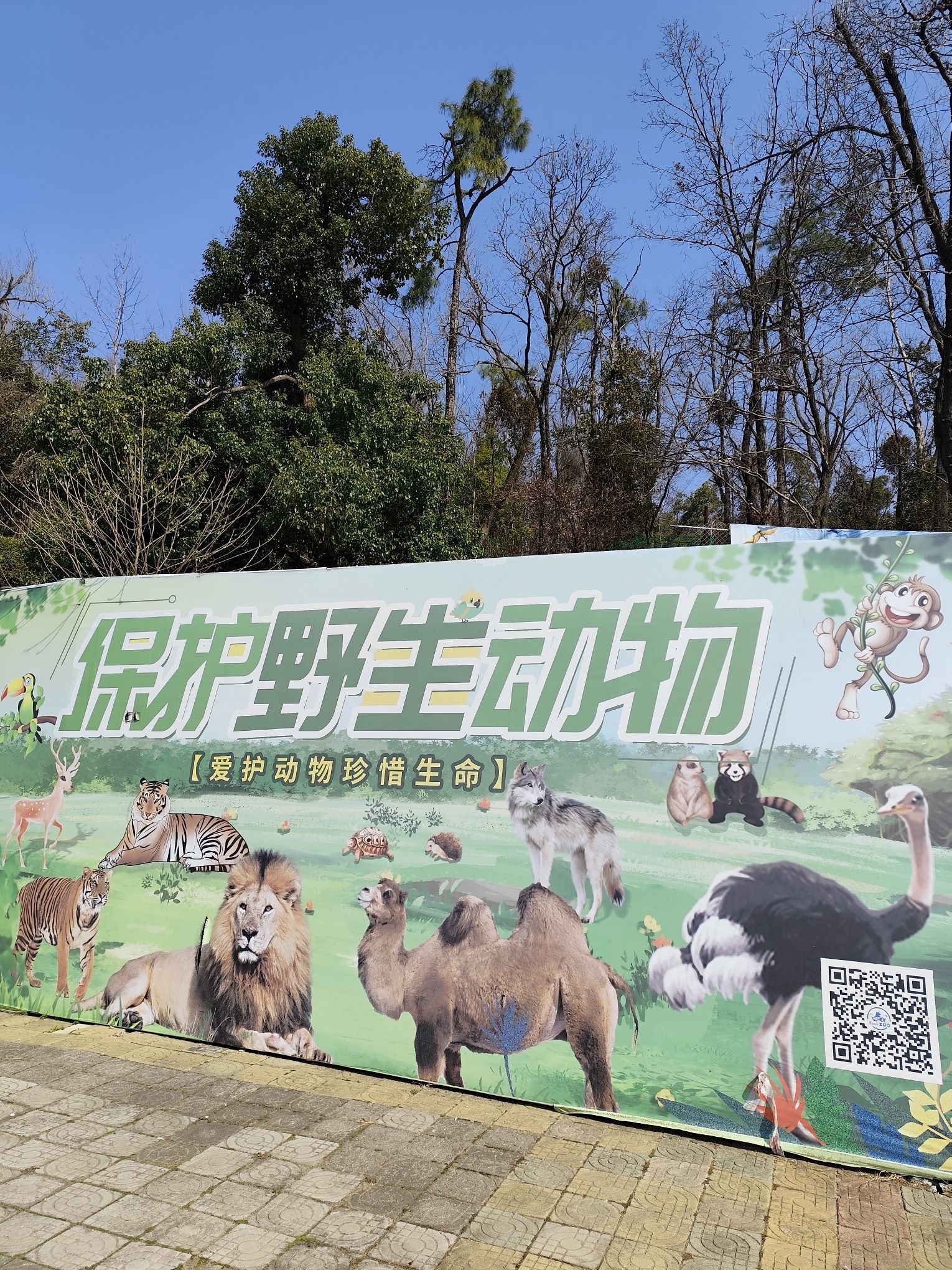 九峰国家森林公园旅行图片 2