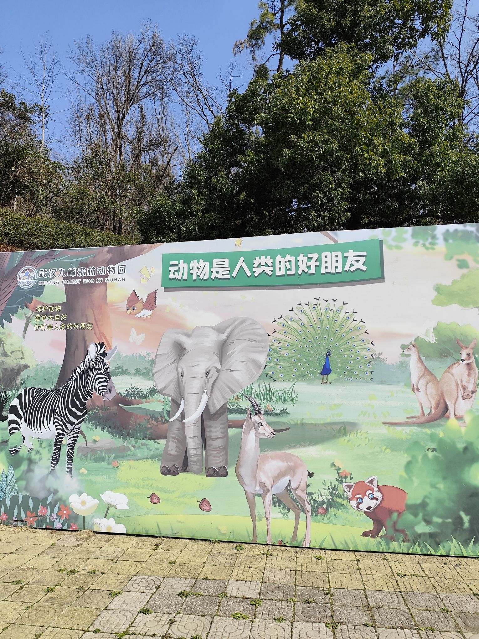 九峰国家森林公园旅行图片 1