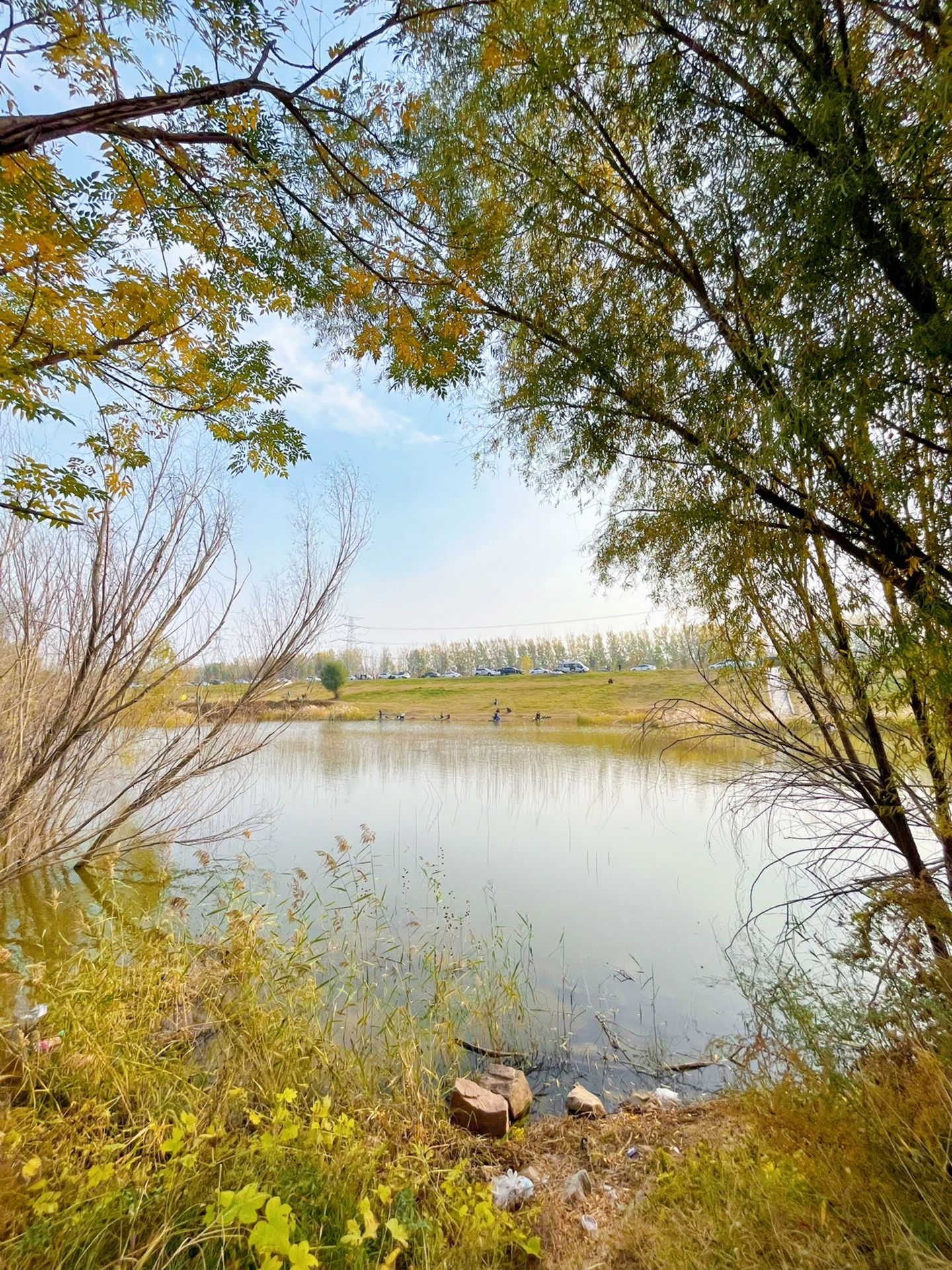 岗李水库旅行图片 1
