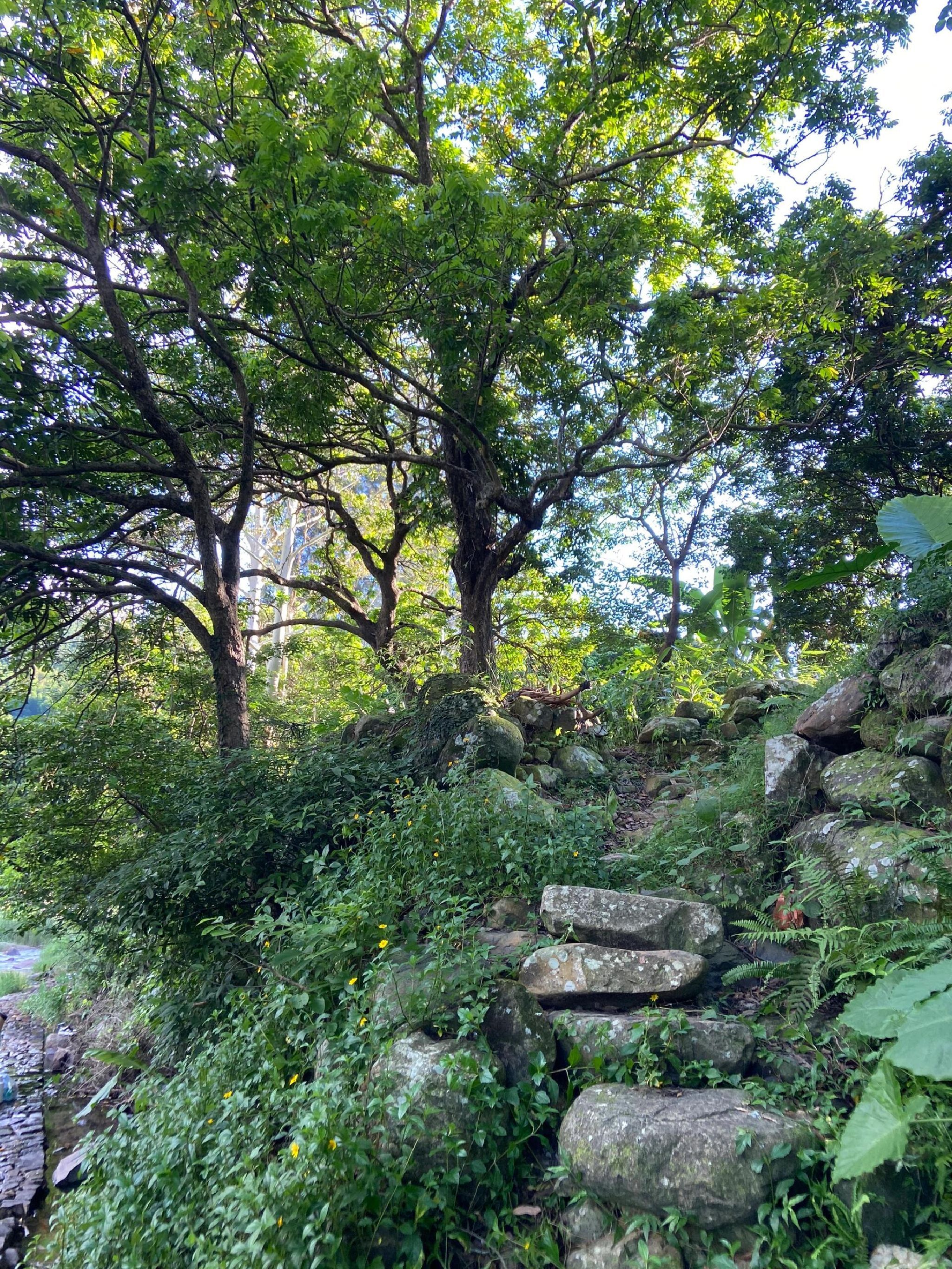 造水村流枫溪旅行图片 1