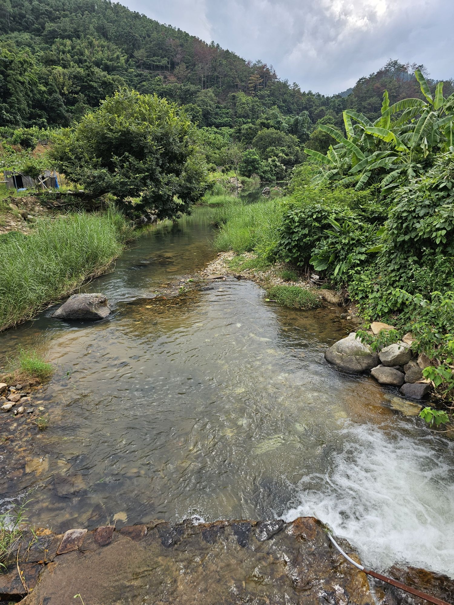 造水村流枫溪旅行图片 3