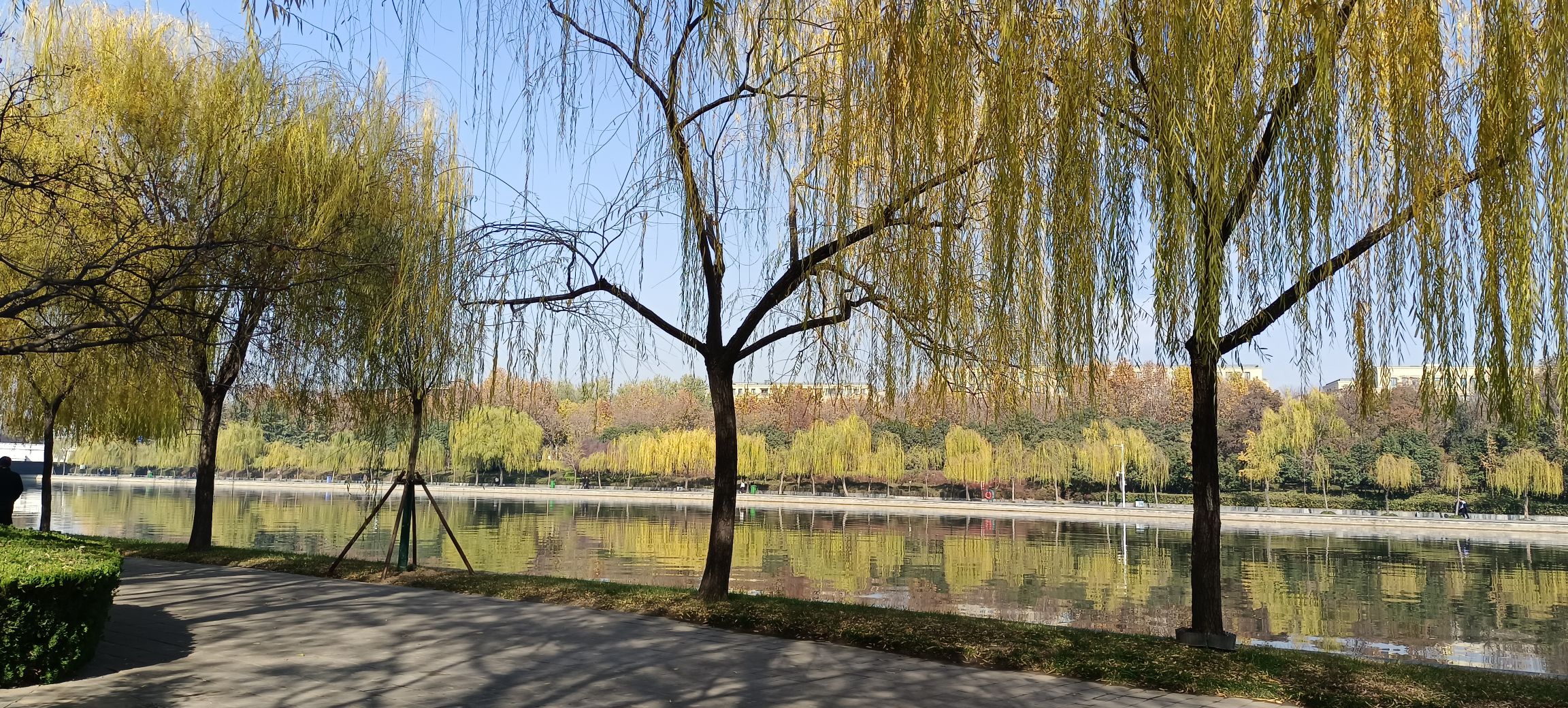 七里河公园旅行图片 2