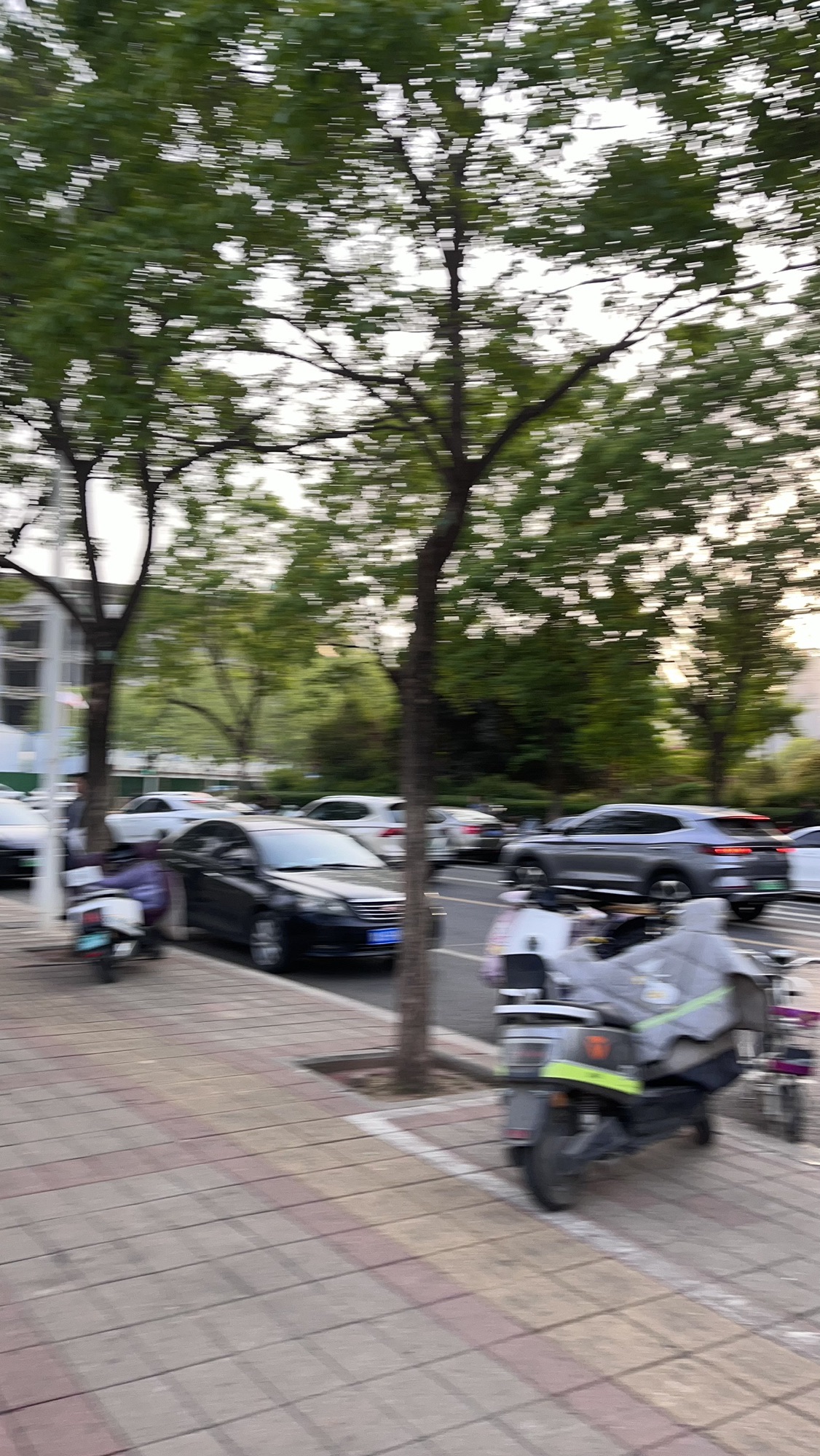 七里河公园旅行图片 3