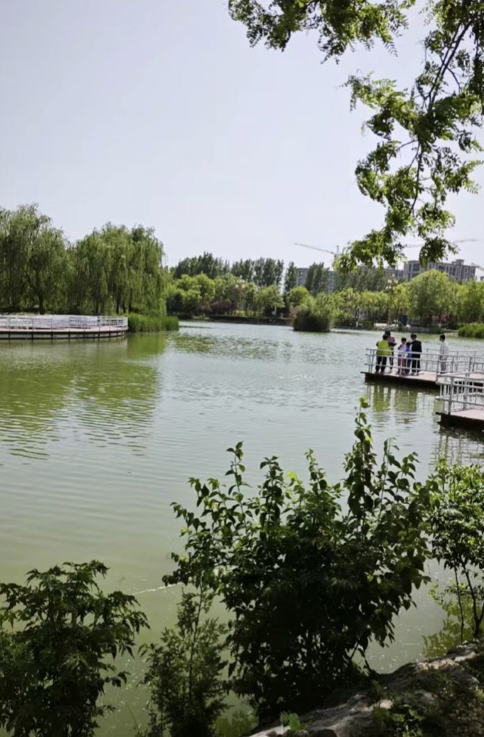 七里河公园旅行图片