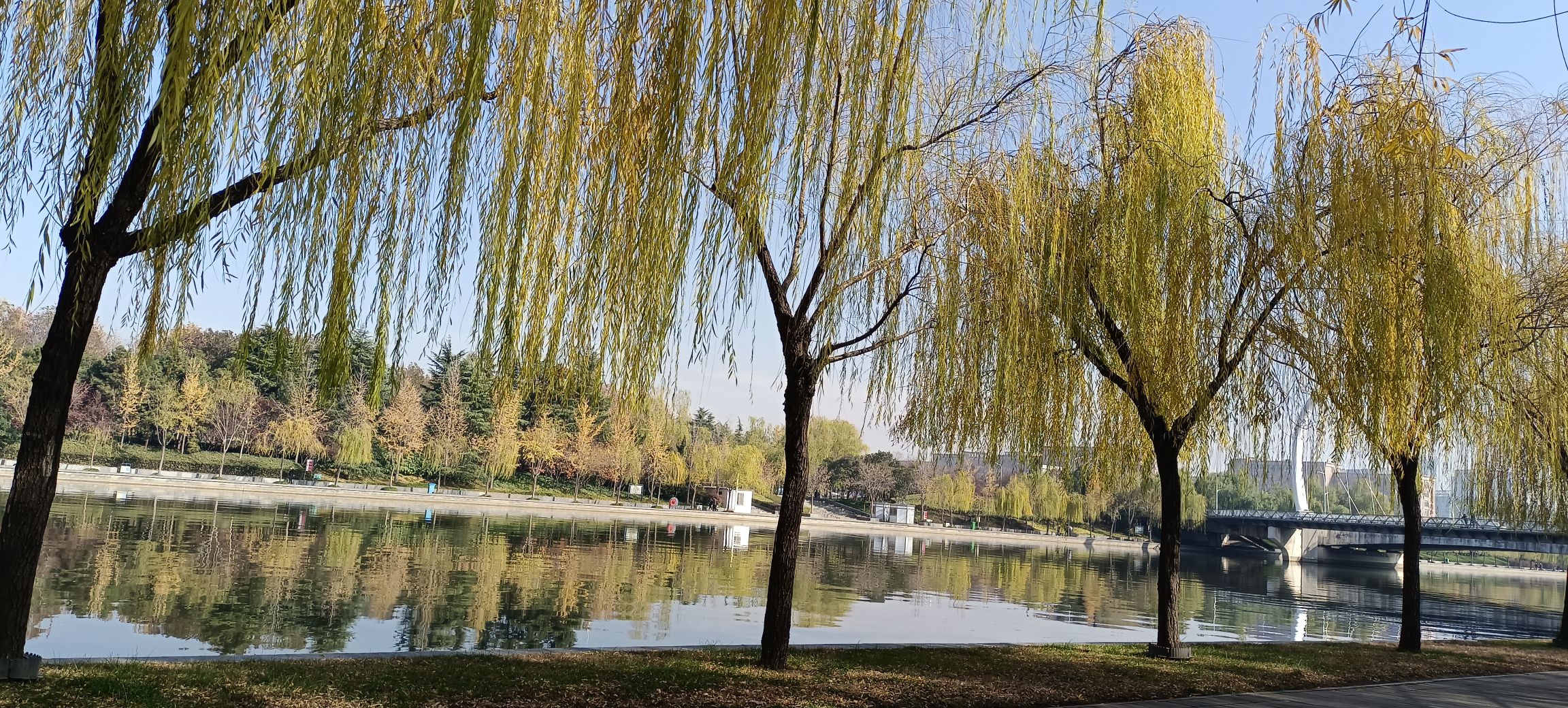 七里河公园旅行图片