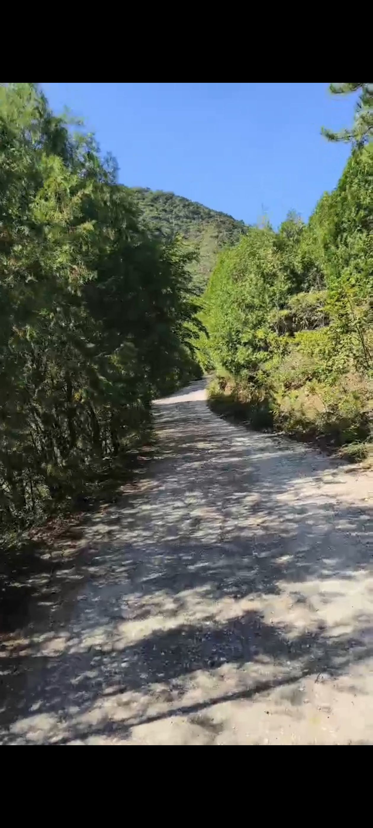 聚仙谷旅游风景区旅行图片 1