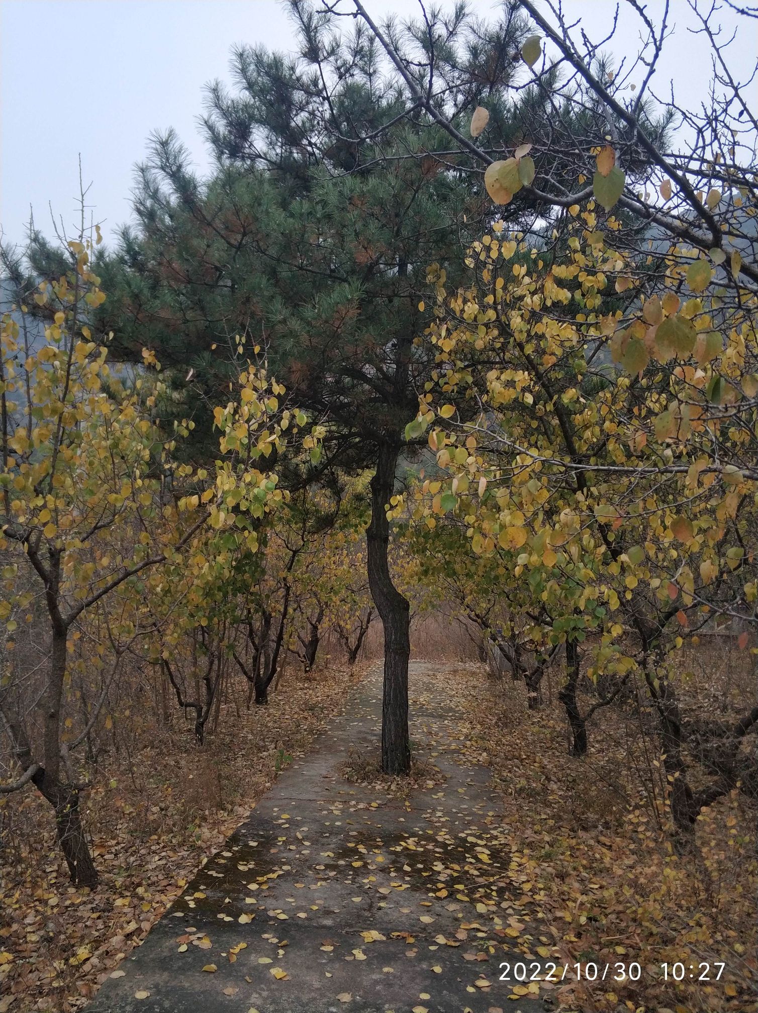 聚仙谷旅游风景区旅行图片 2