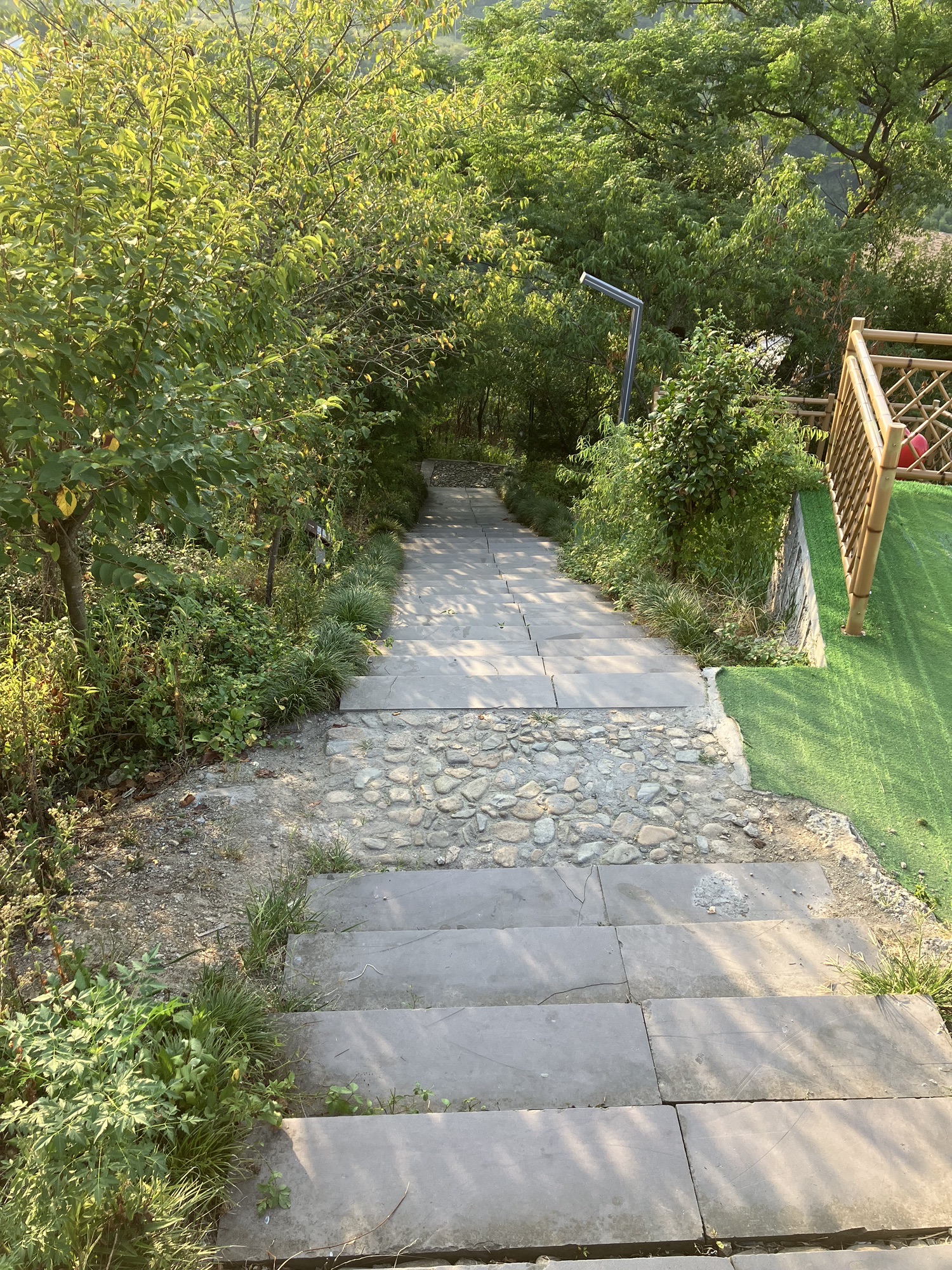 七彩白鹿观景台旅行图片 2