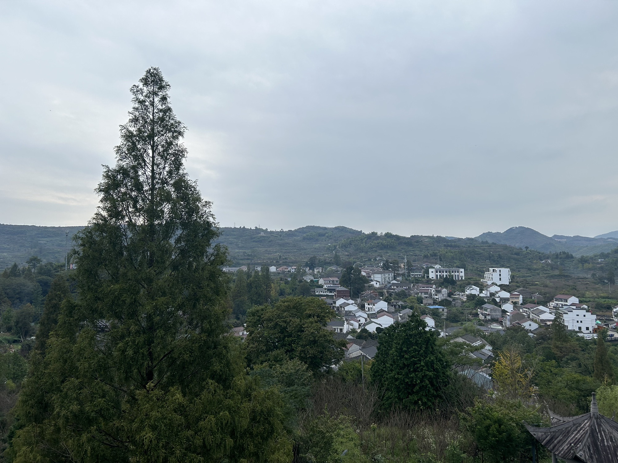 七彩白鹿观景台旅行图片 3