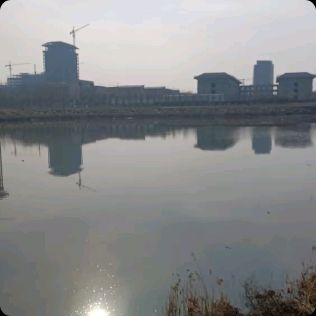 水杉园旅行图片 2