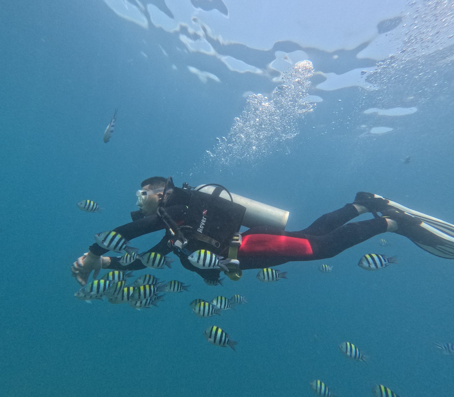 亚龙湾海底世界专业潜水中心