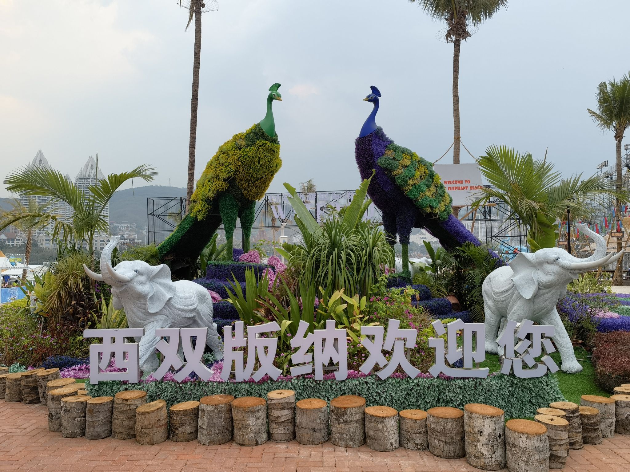 西双版纳旅游度假区