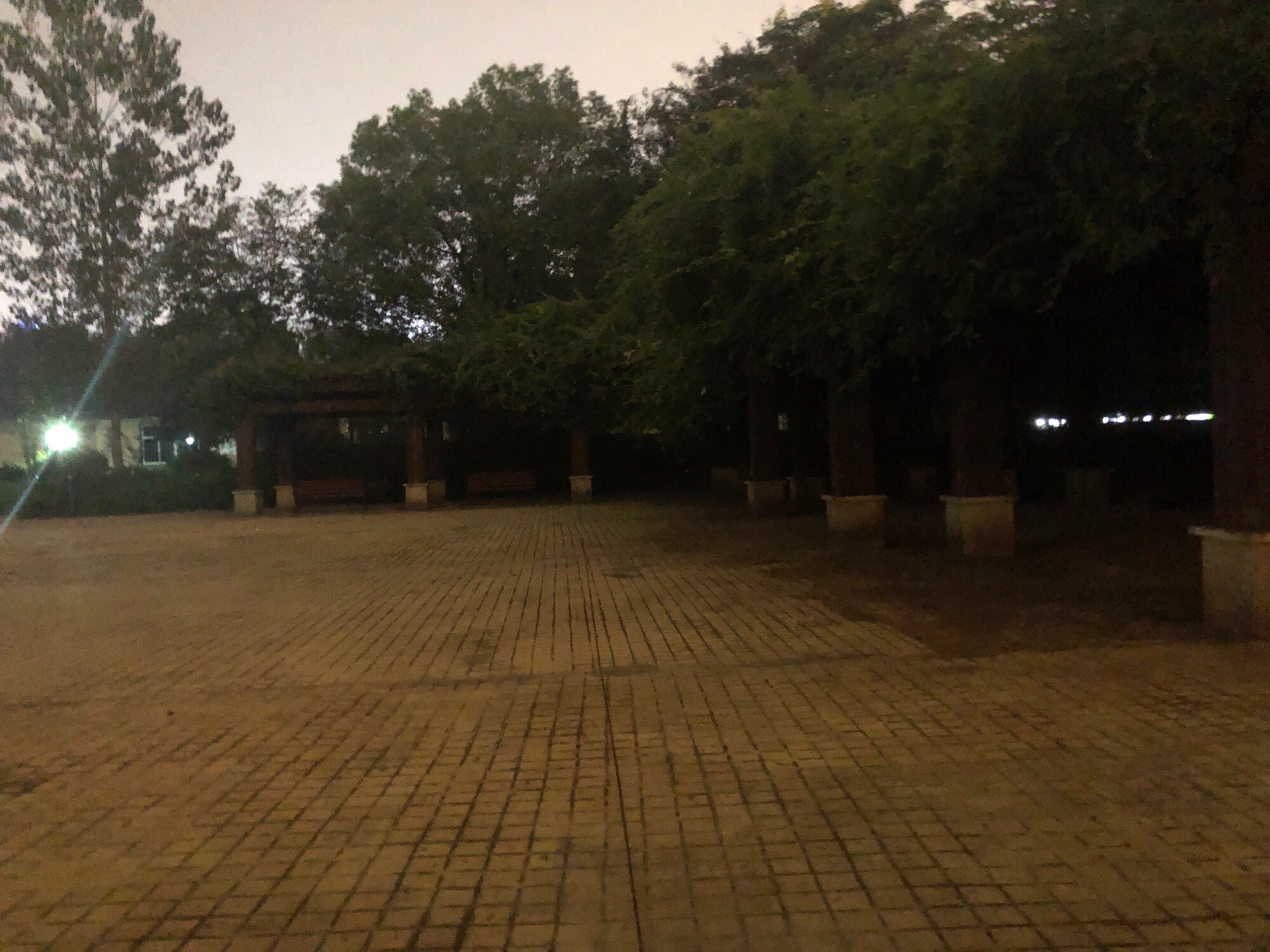 长虹公园旅行图片 1