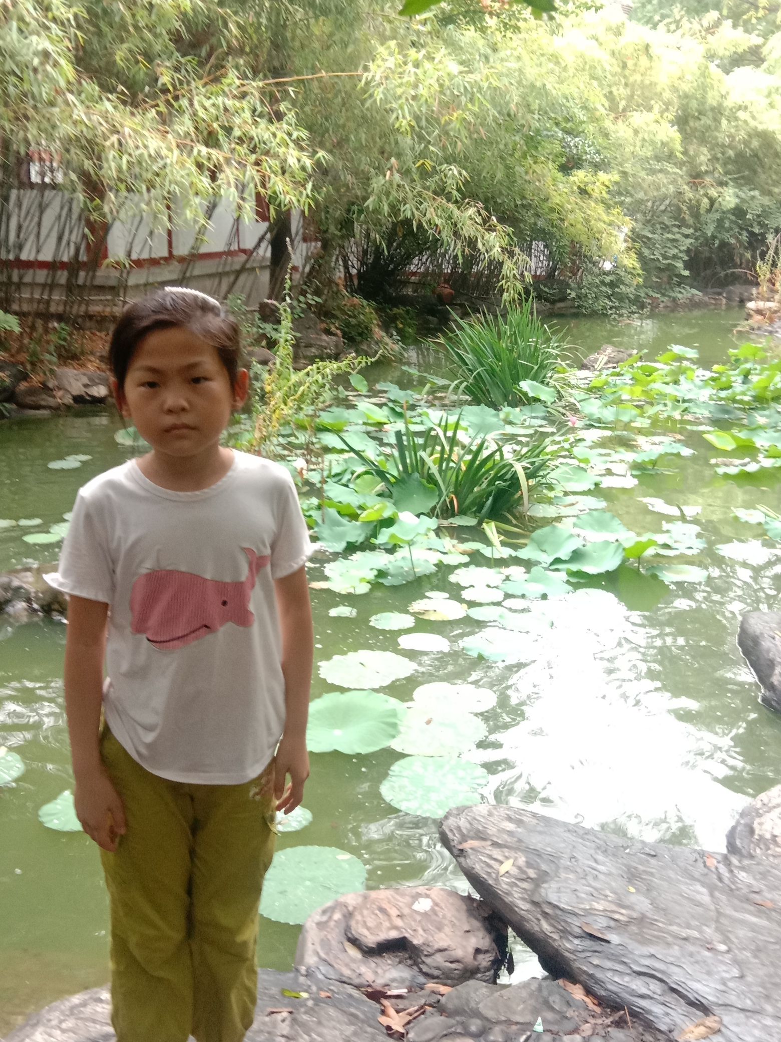 长虹公园旅行图片 1
