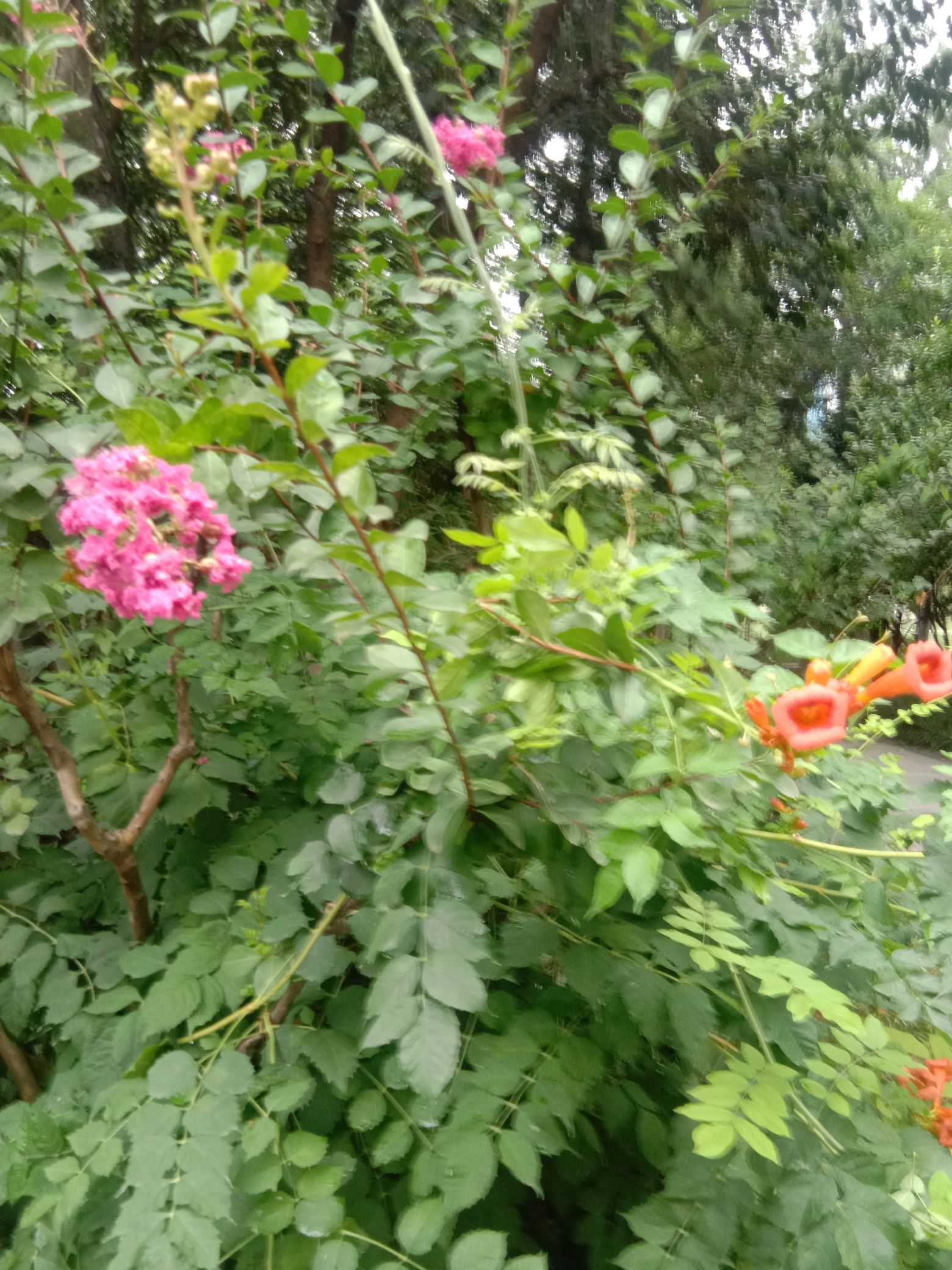 长虹公园旅行图片 2