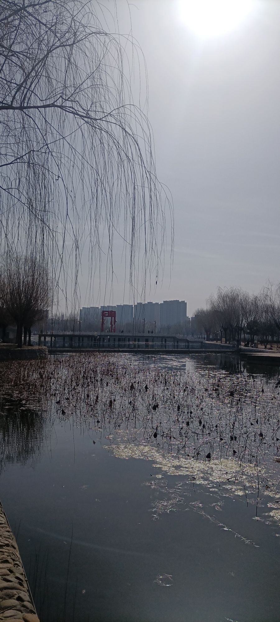 汪洋沟公园