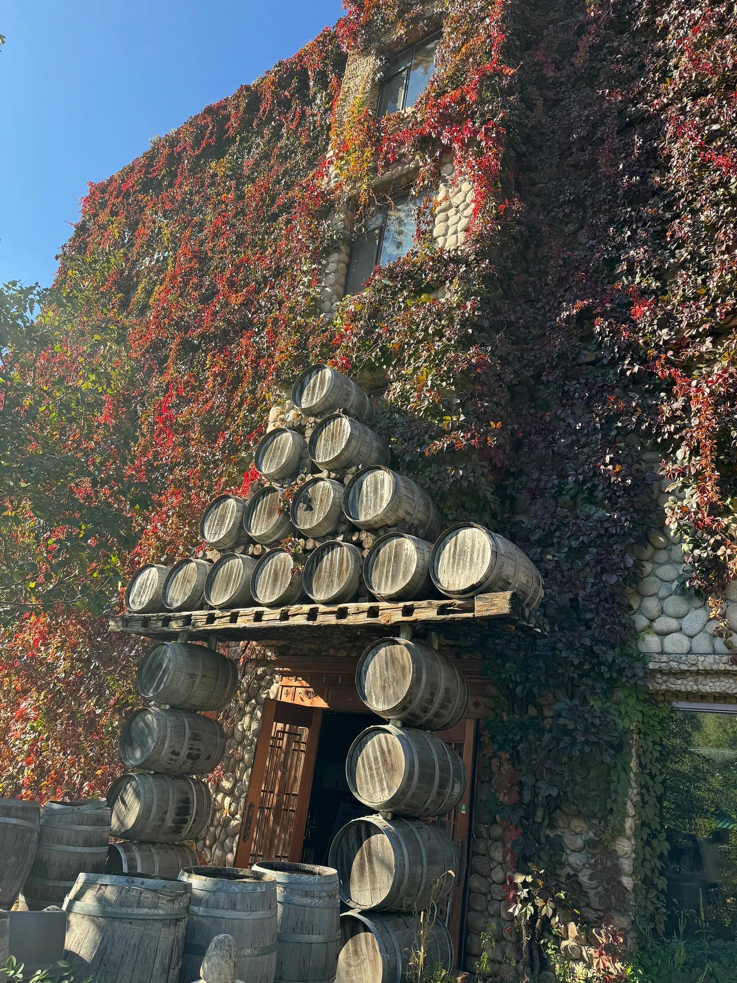 圣鑫葡萄酒庄(暂停开放)旅行图片 1