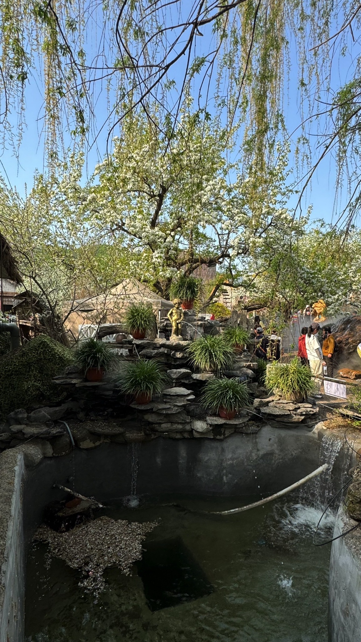 圣鑫葡萄酒庄(暂停开放)旅行图片 2