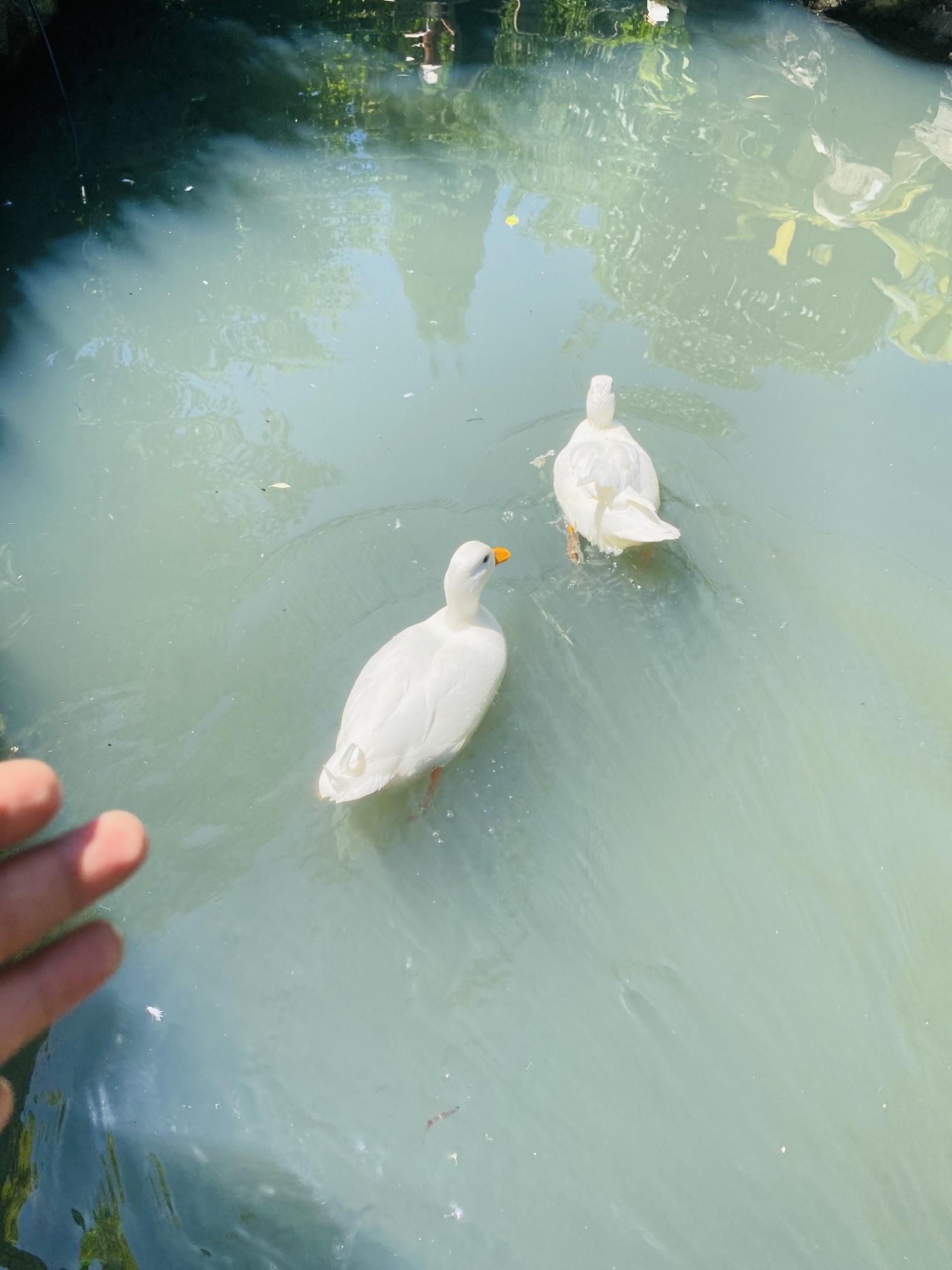 圣鑫葡萄酒庄(暂停开放)旅行图片 1