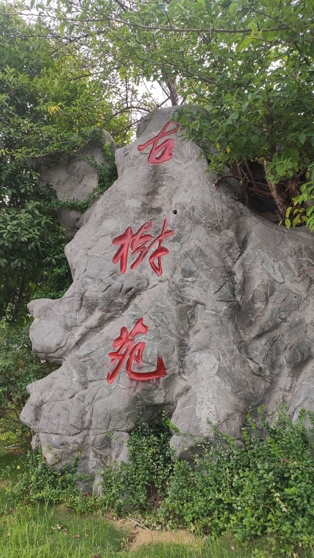 古树苑旅行图片 1