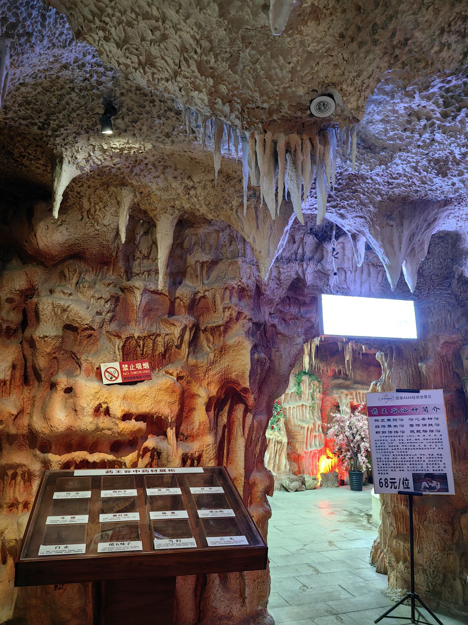 龙脉温泉度假村旅行图片 2