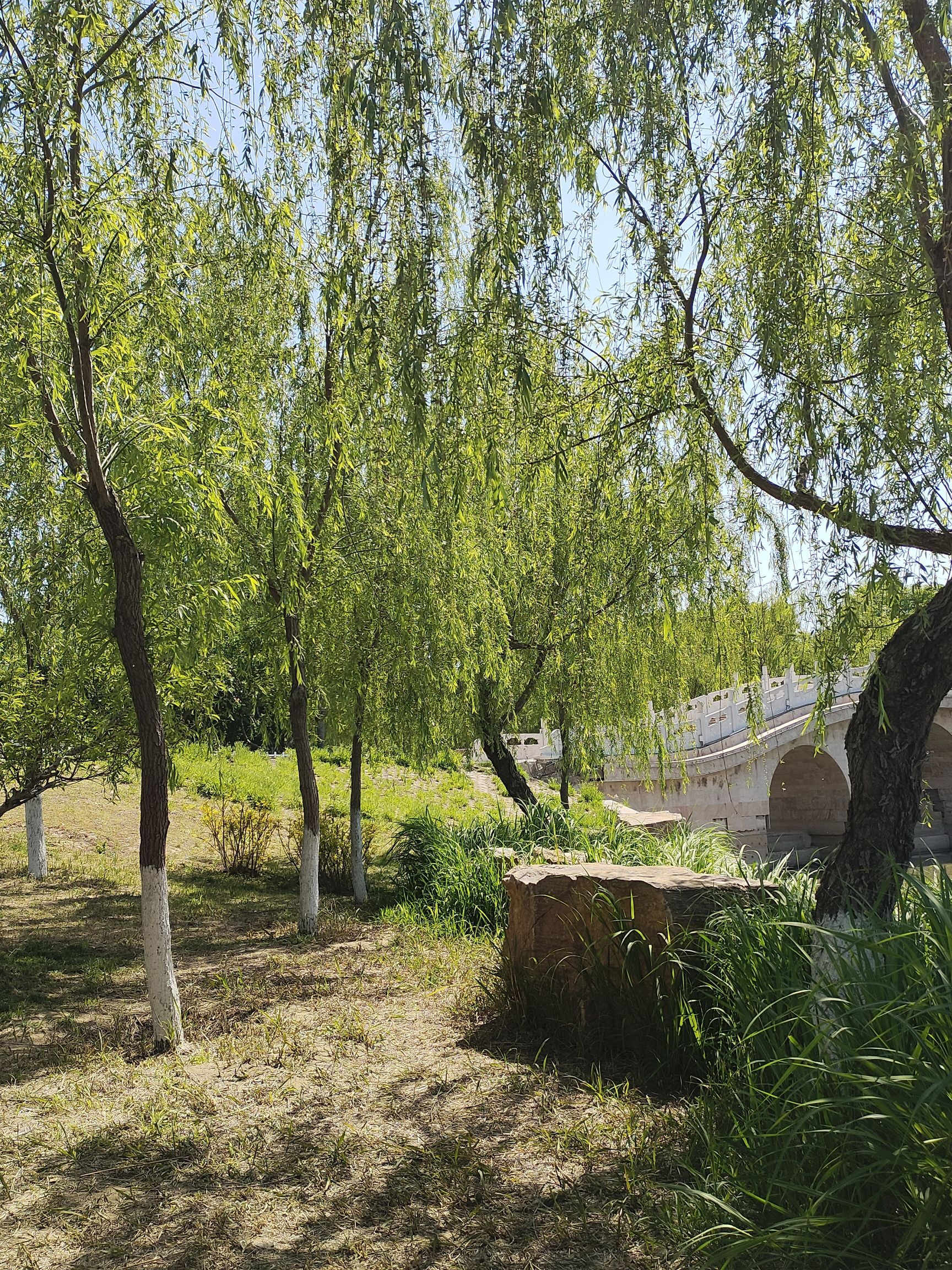 公主湖湿地公园旅行图片 3