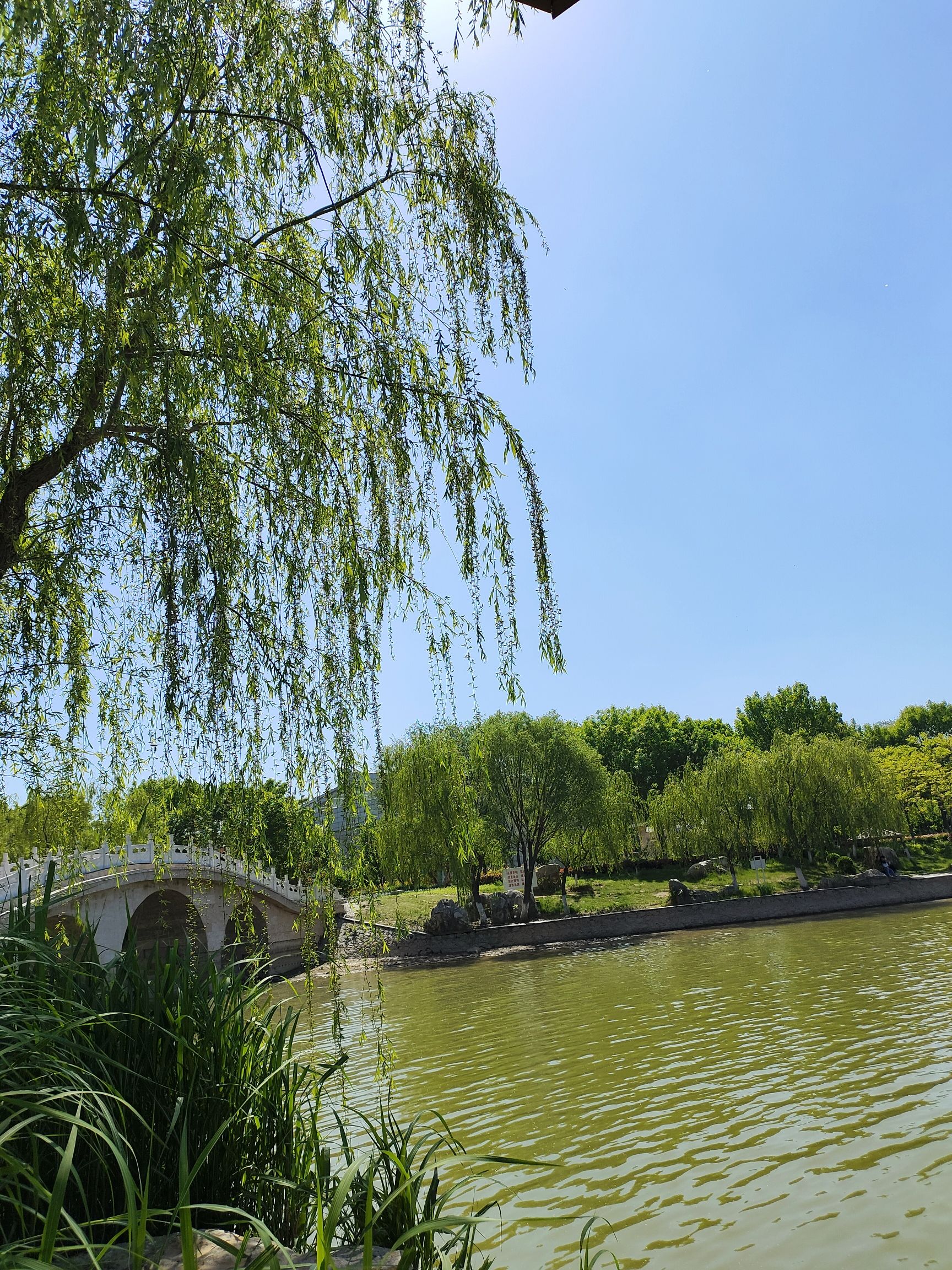 公主湖湿地公园旅行图片