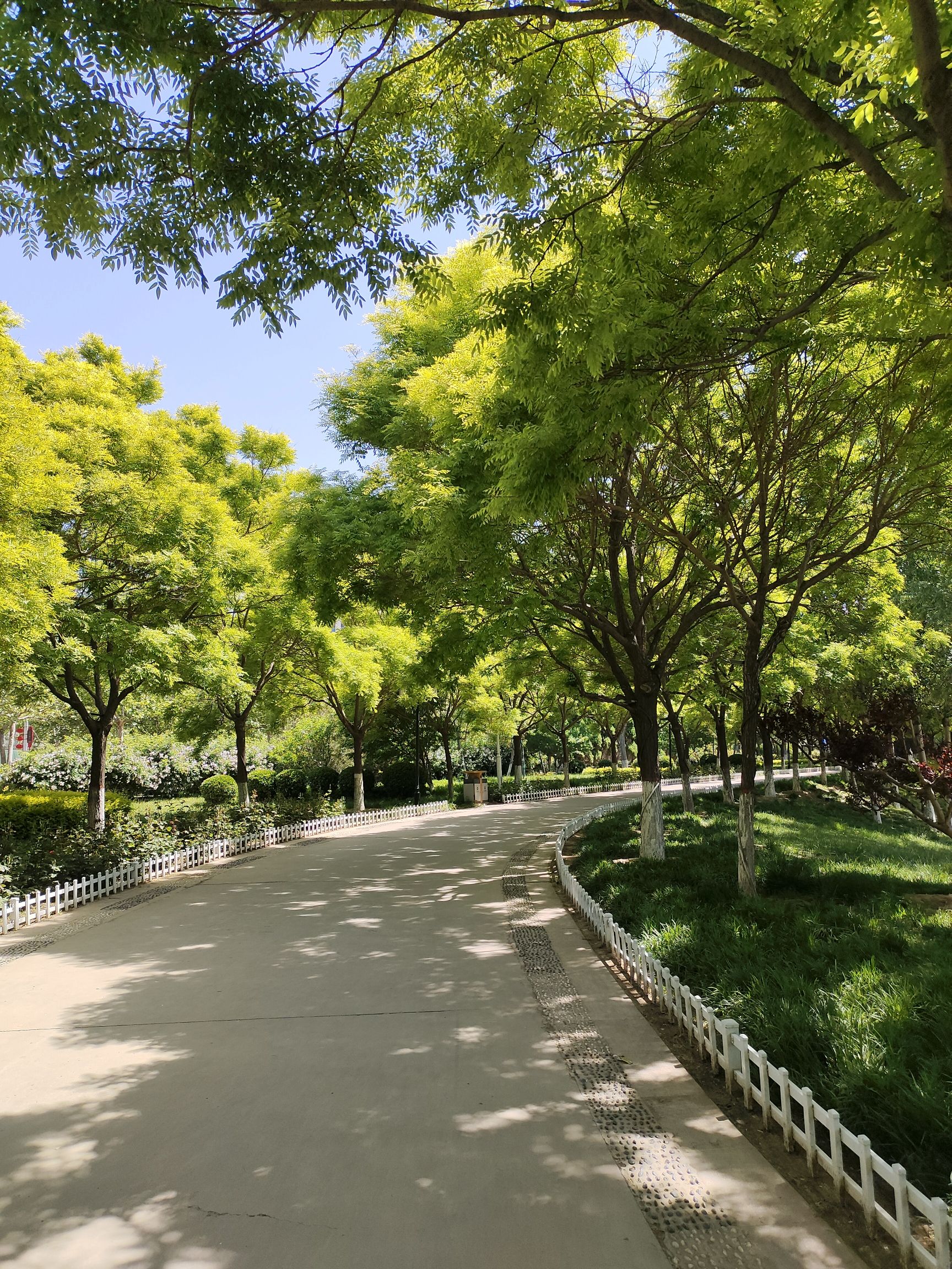 公主湖湿地公园旅行图片 2
