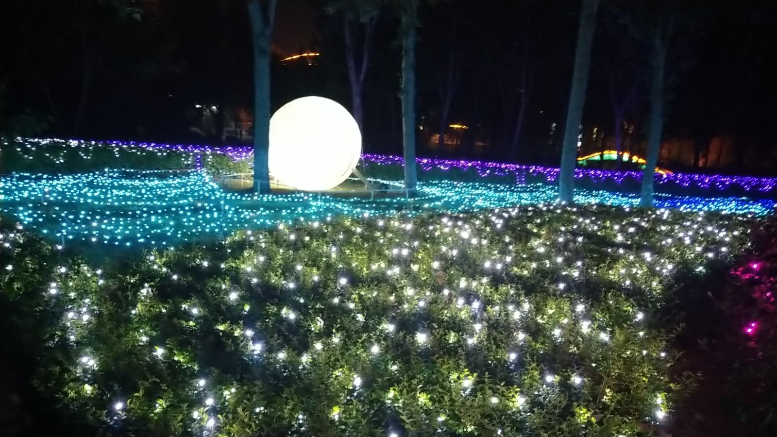 公主湖湿地公园旅行图片 3
