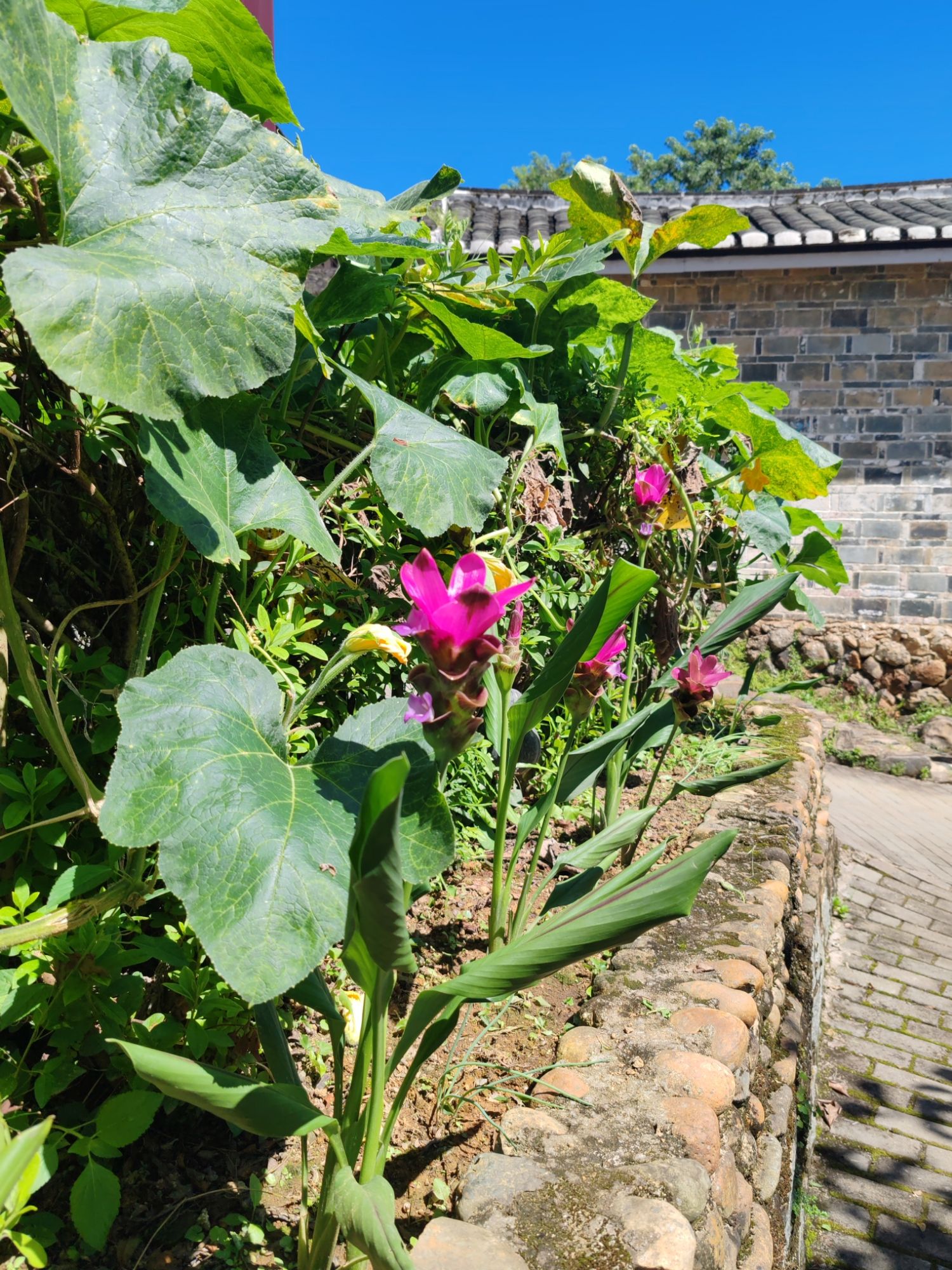 福建平和榜眼府旅行图片 2