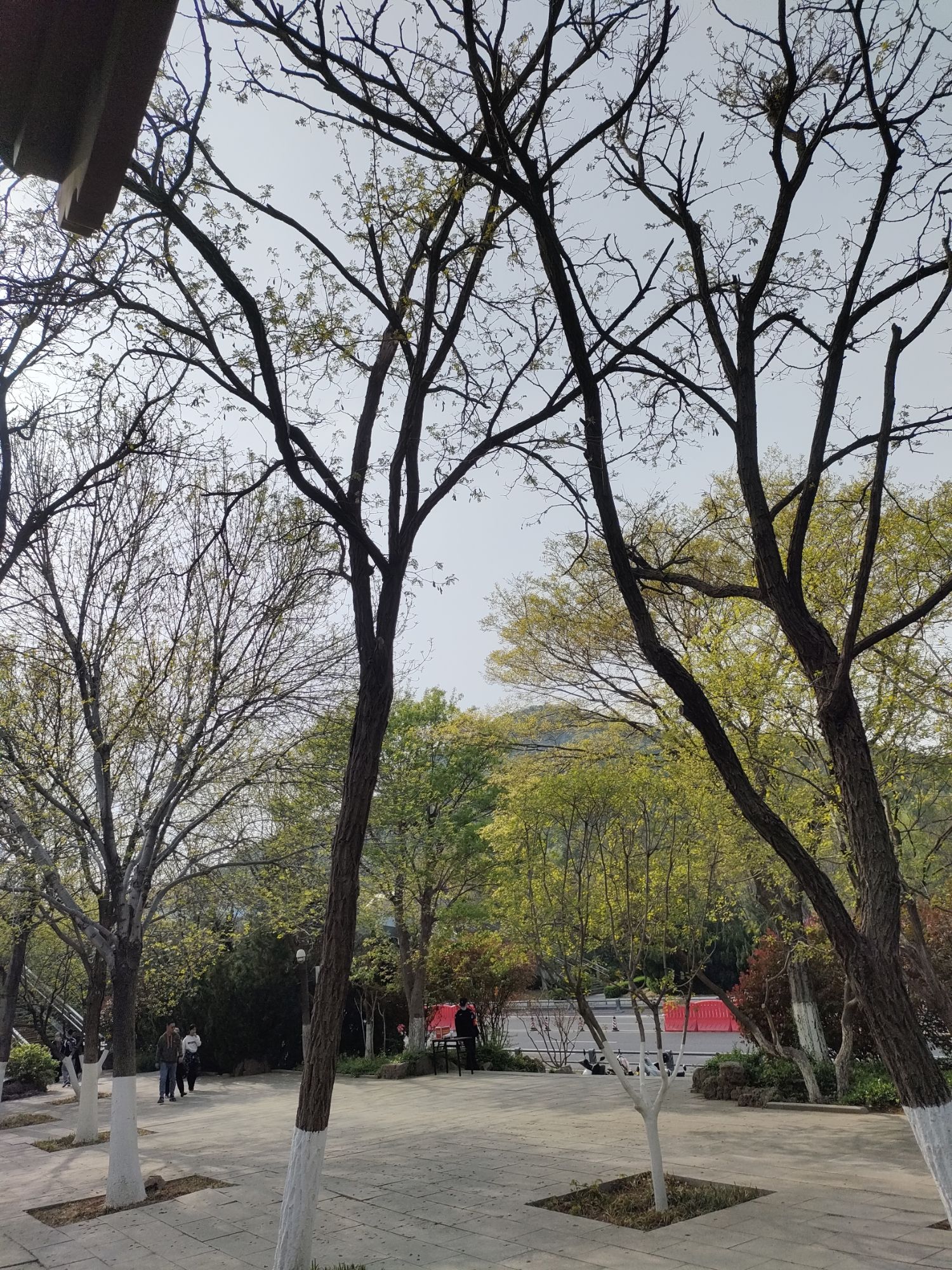 大千佛山景区佛慧山旅行图片 2