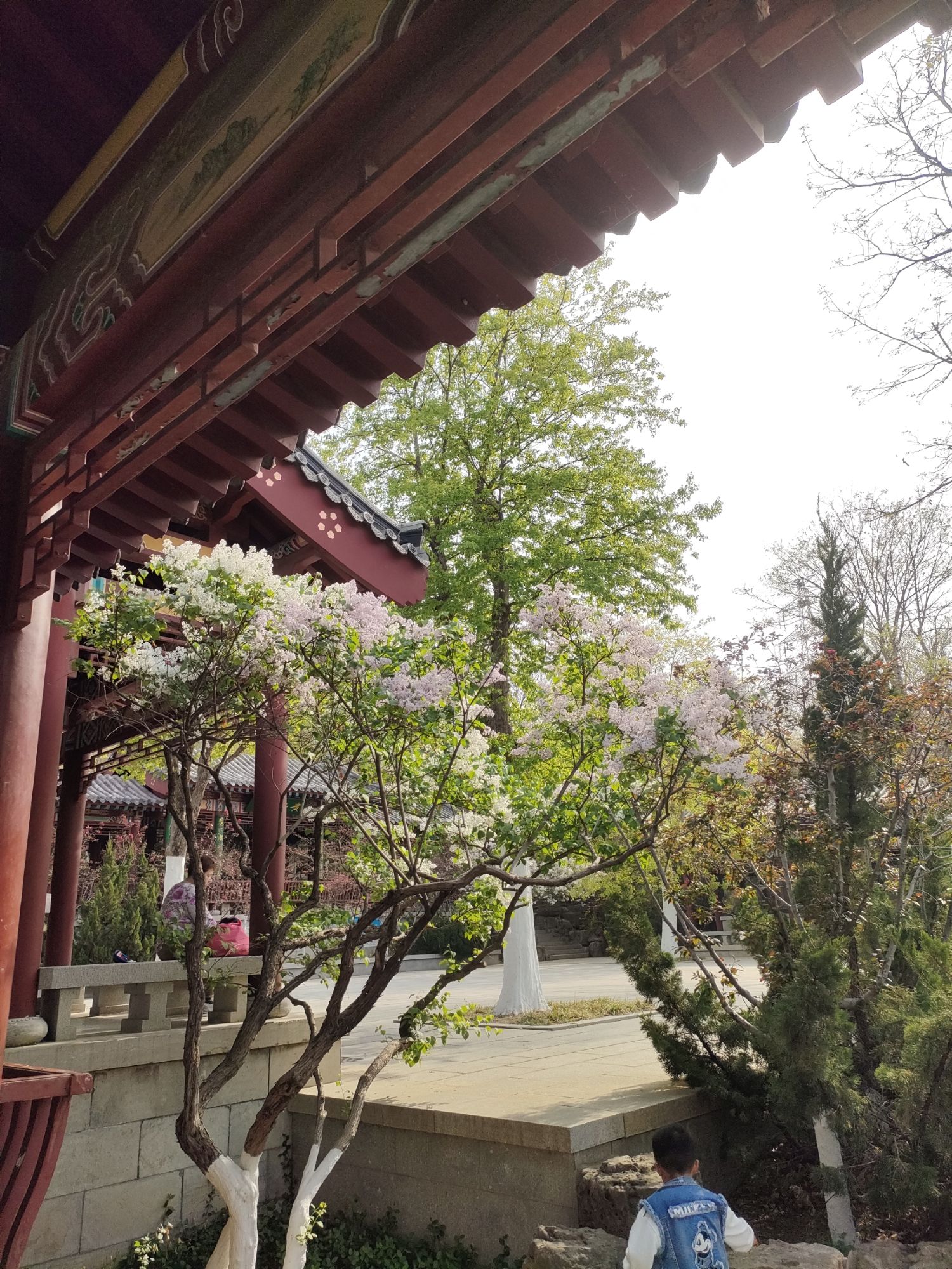 大千佛山景区佛慧山旅行图片