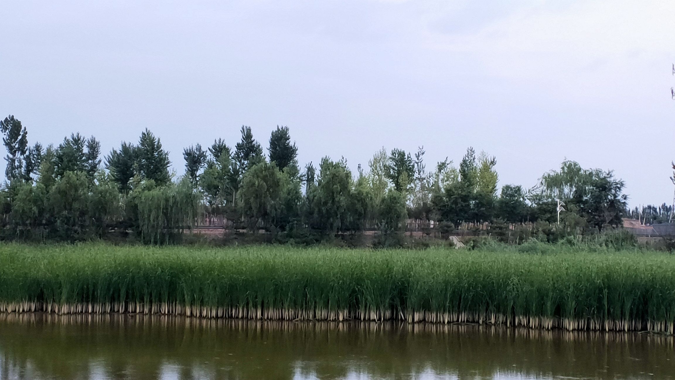 昌源河国家湿地公园旅行图片 1