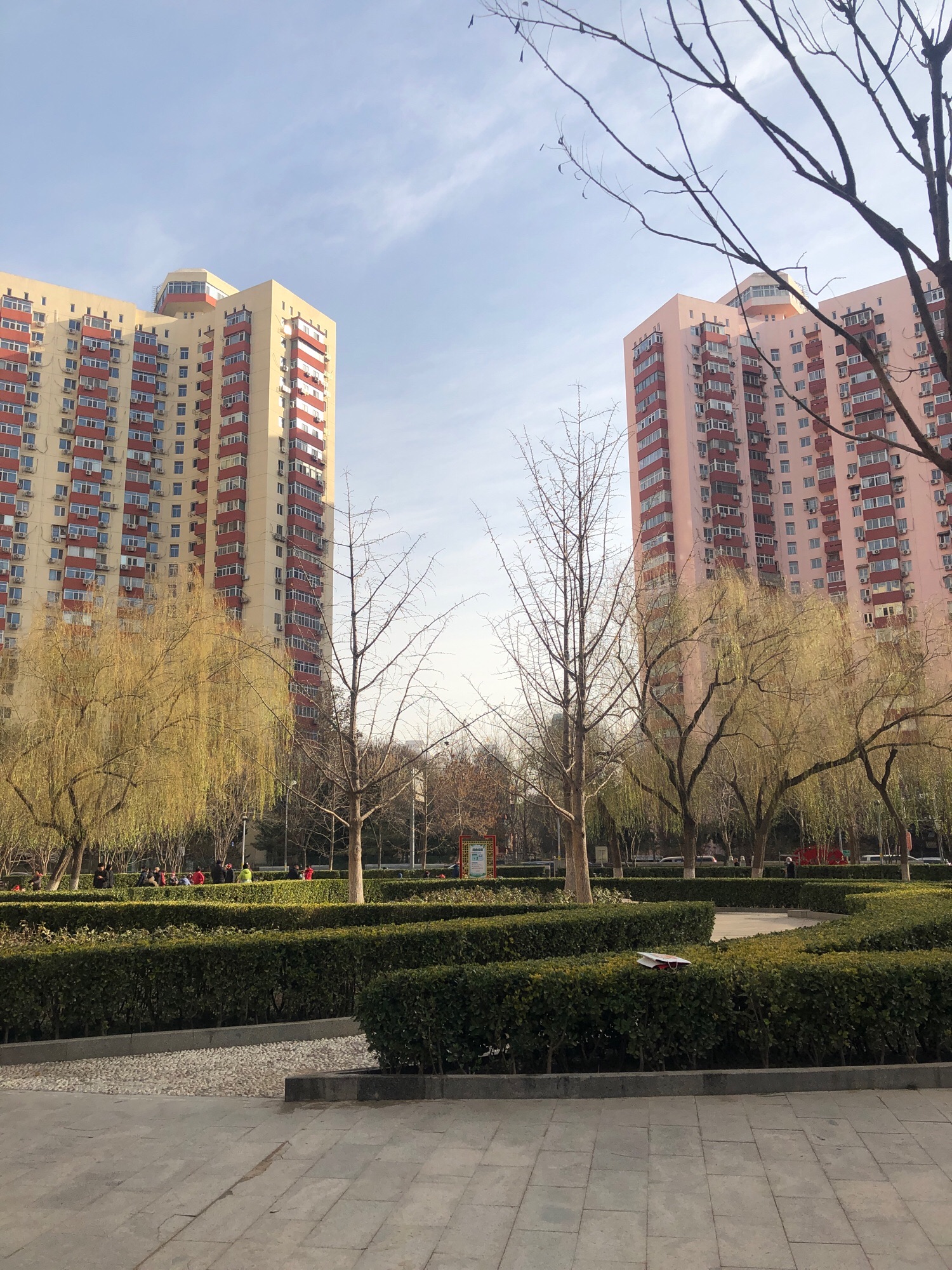 群乐园旅行图片 3