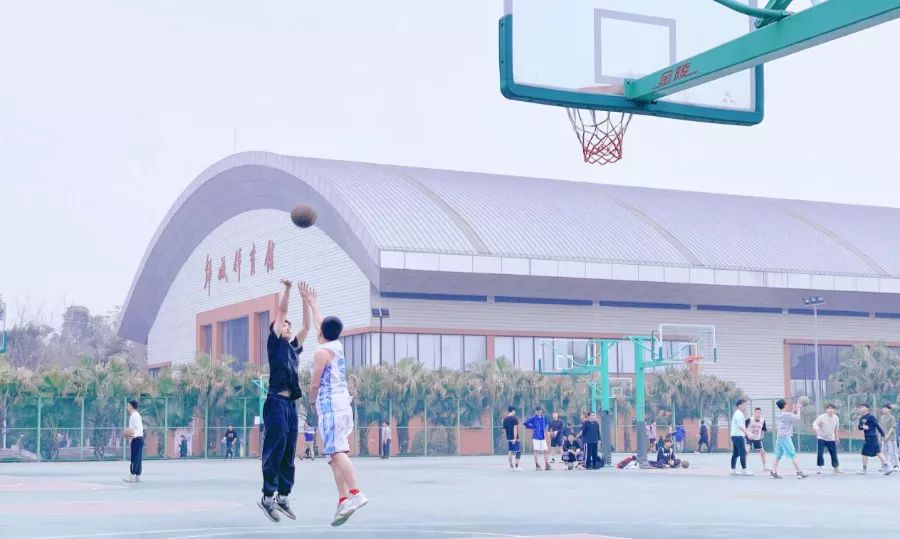 场地封面-成都锦城学院篮球场