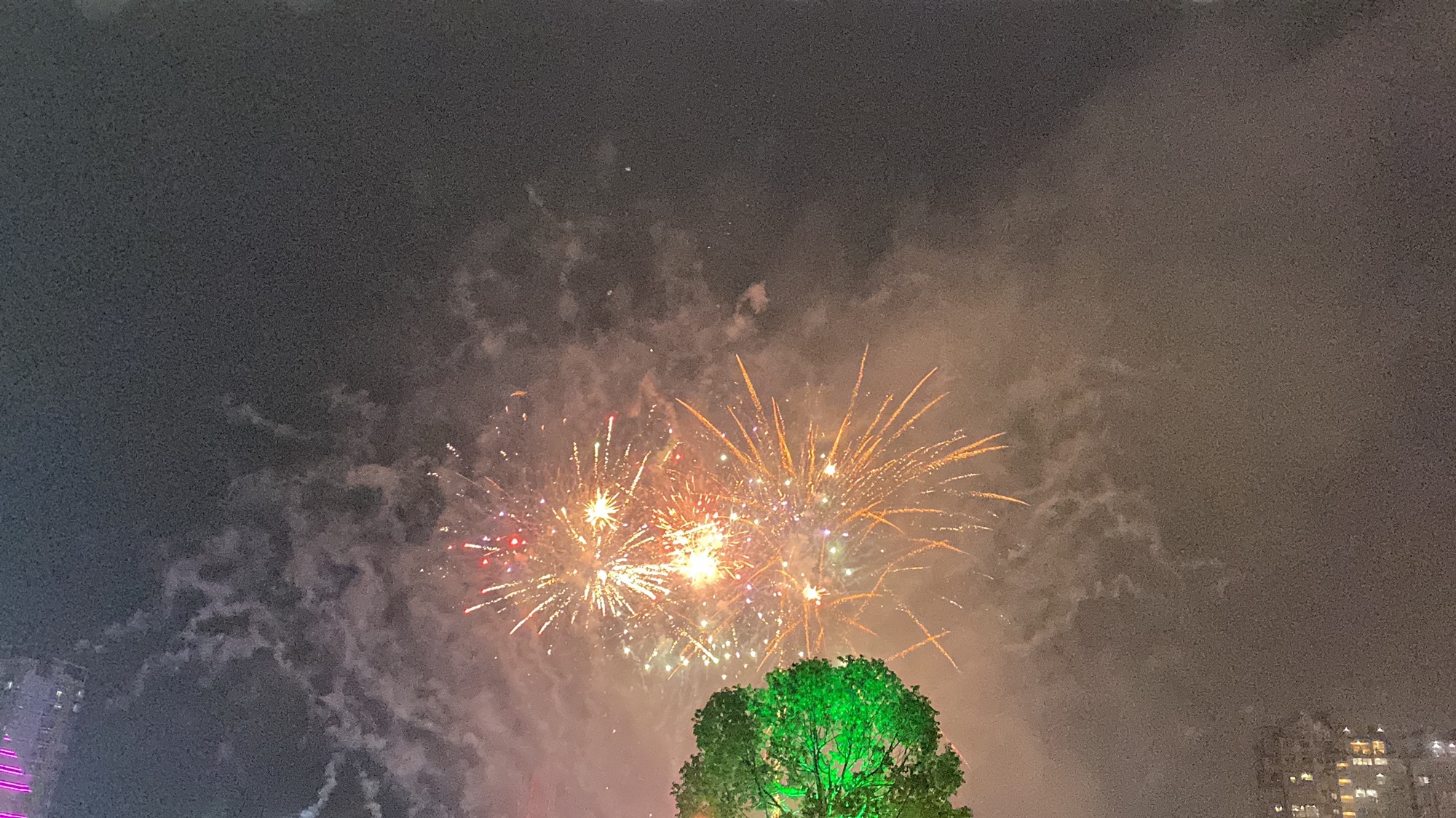 严羽公园旅行图片 1