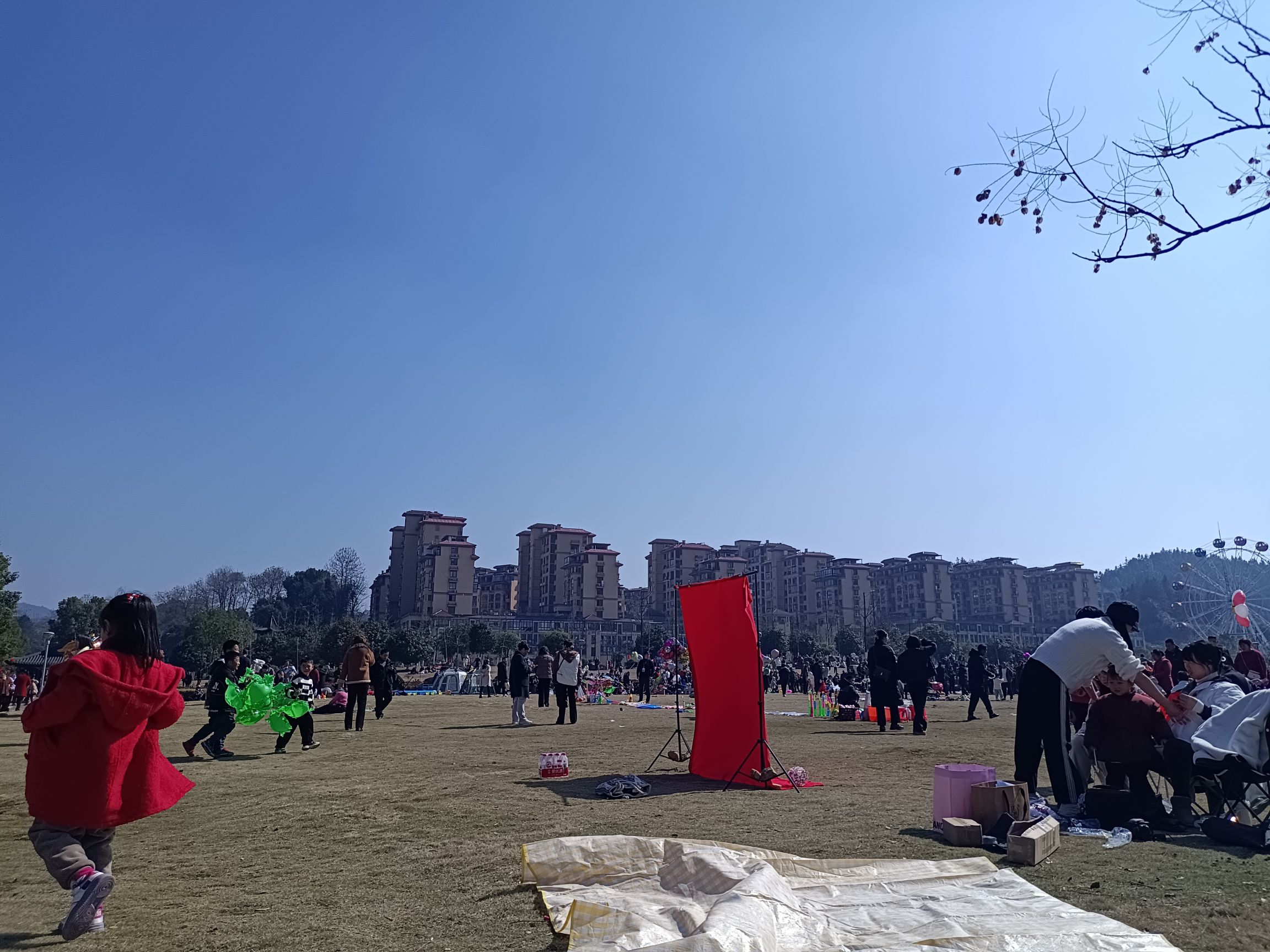 严羽公园旅行图片 2