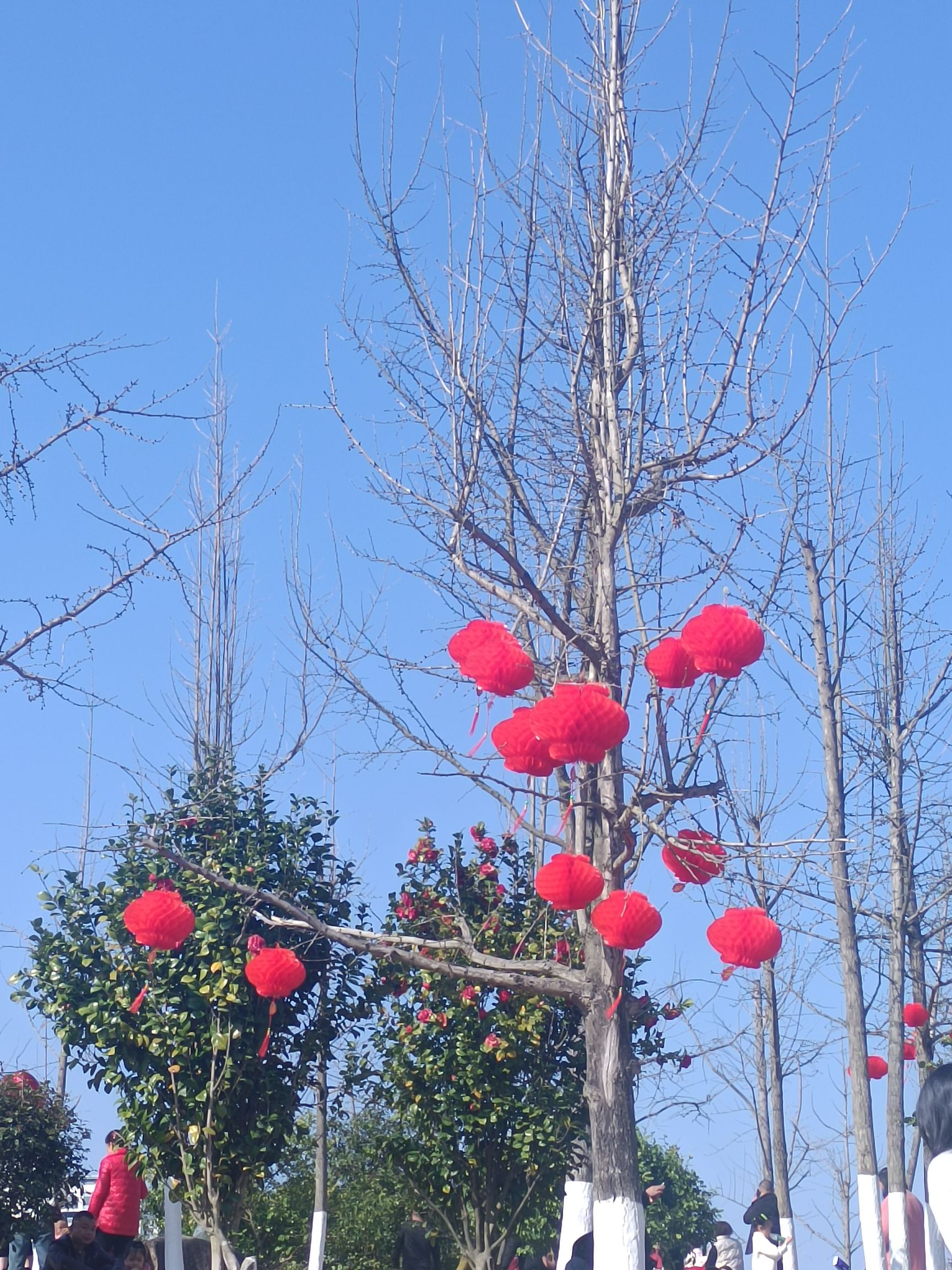 严羽公园