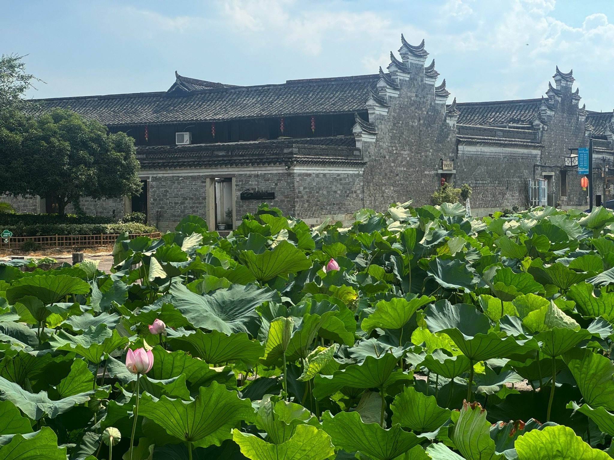 走马塘旅行图片 2