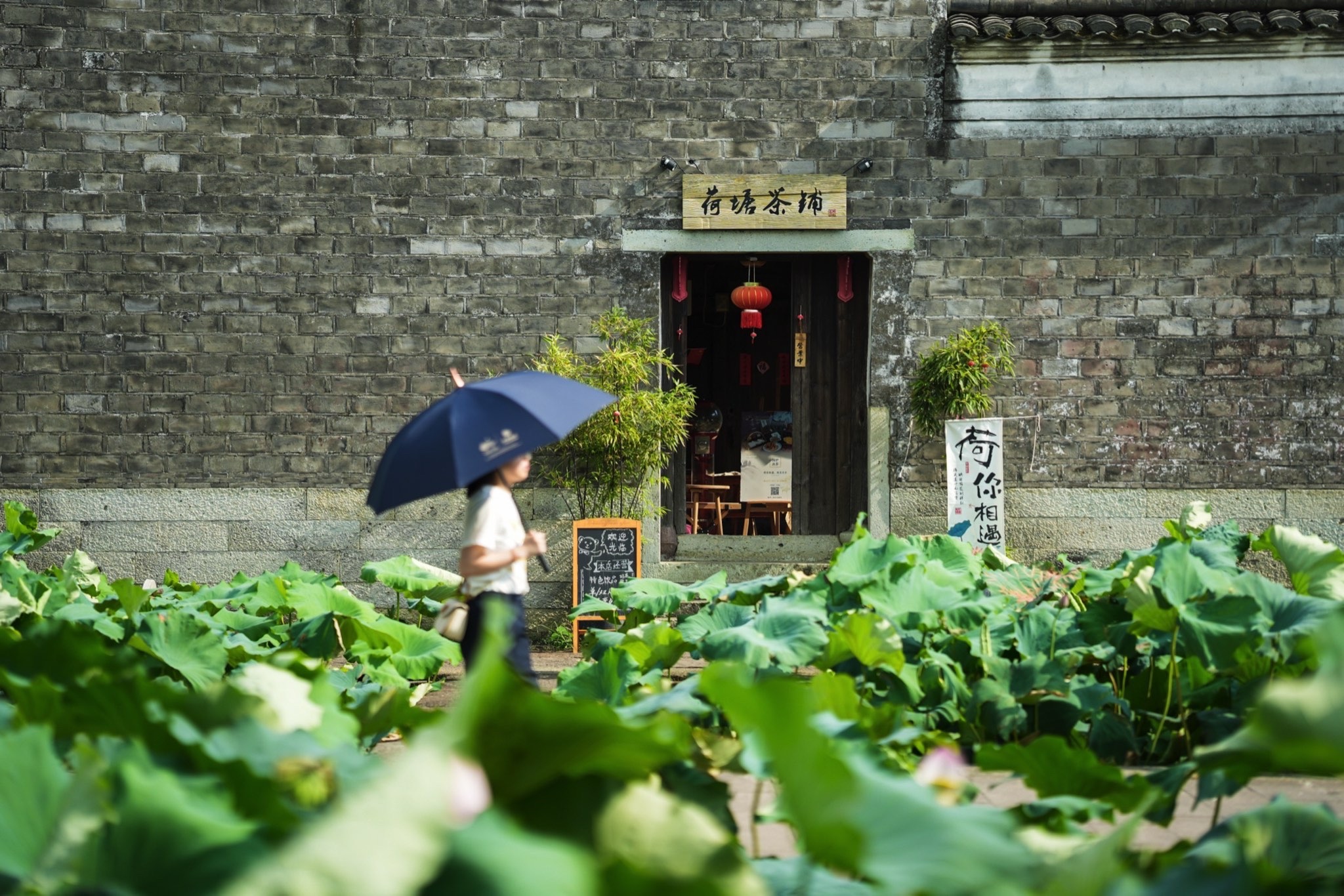 走马塘旅行图片 1