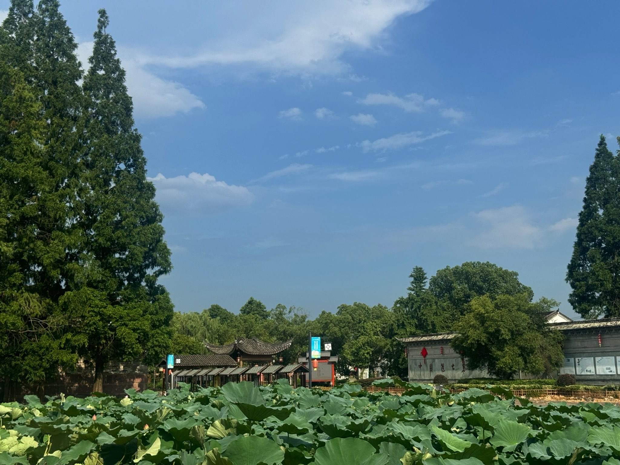 走马塘旅行图片 3