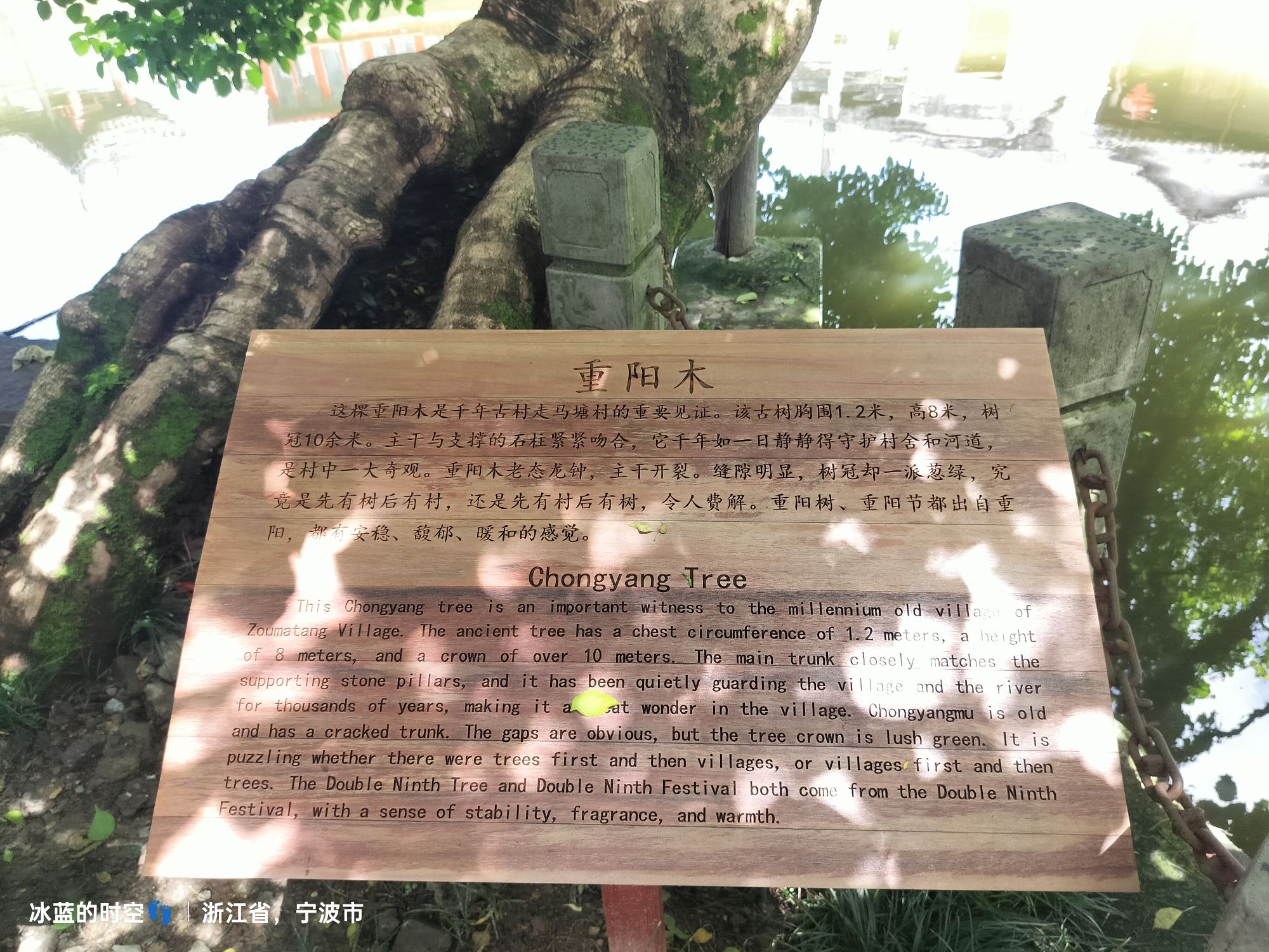 走马塘旅行图片 3