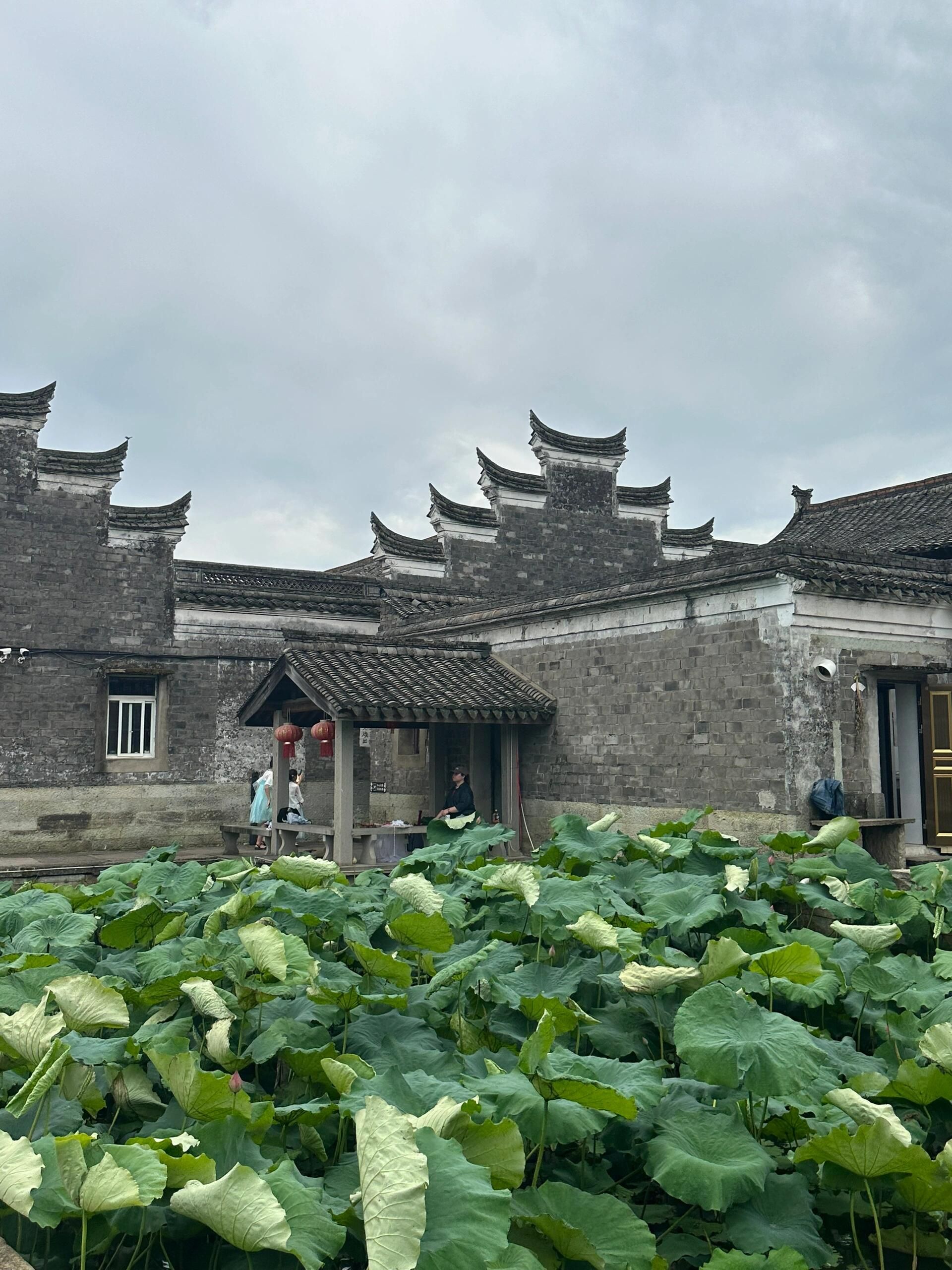 走马塘旅行图片 2