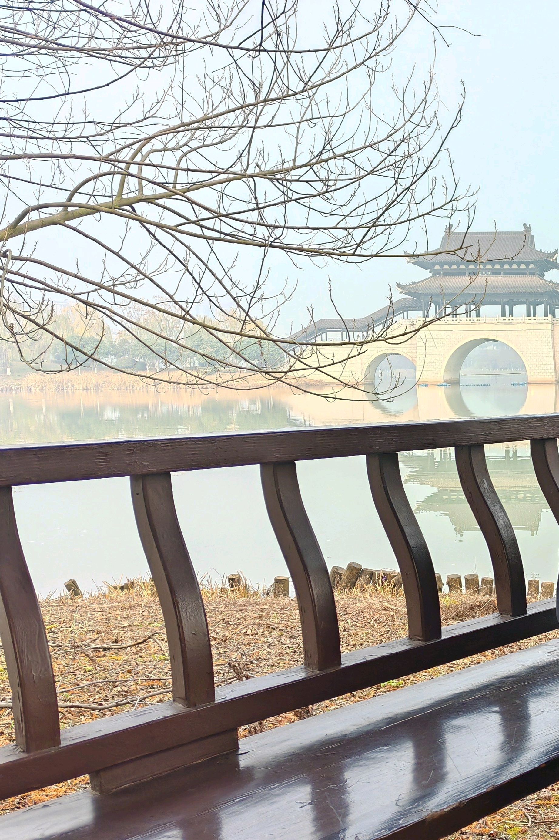 九华湖中华德文化公园旅行图片 2