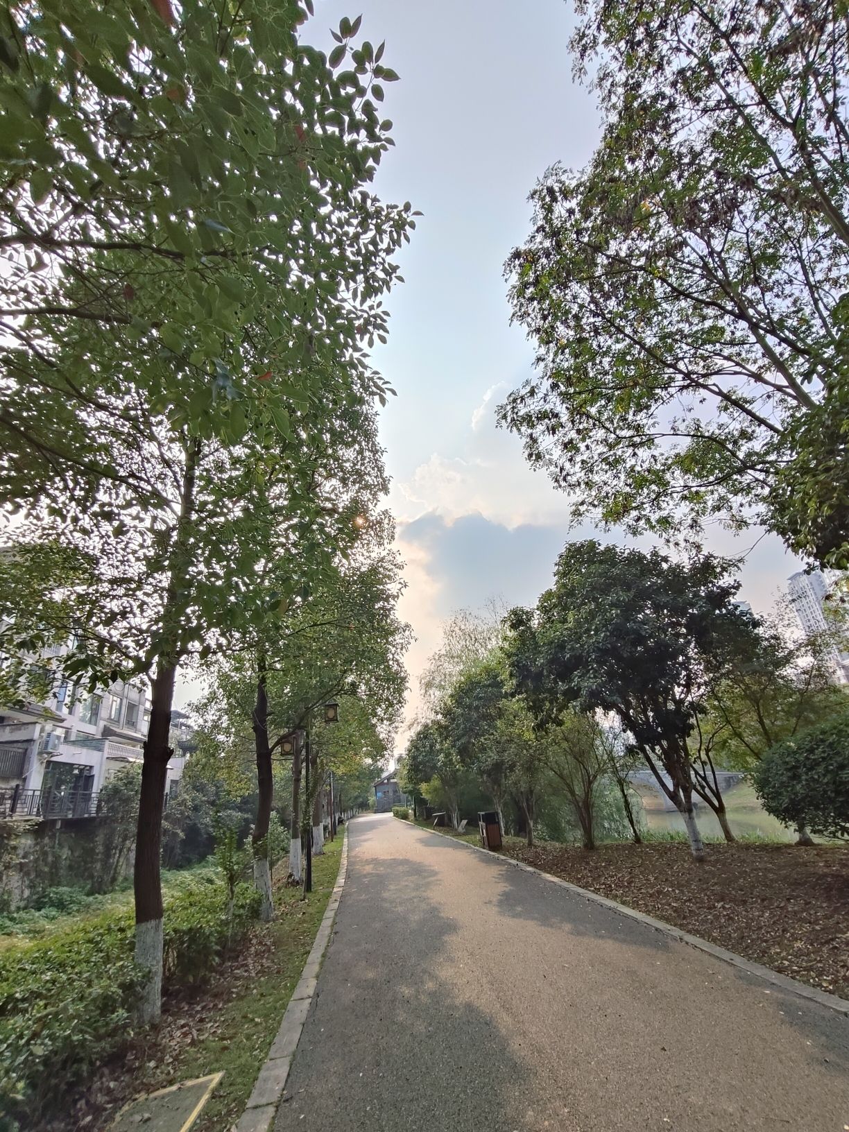 九华湖中华德文化公园旅行图片 2