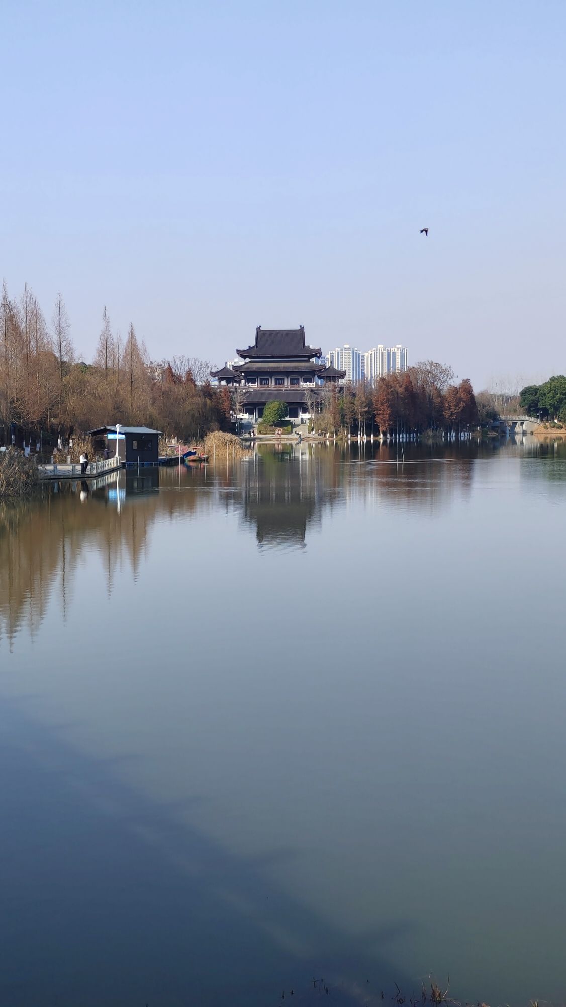 九华湖中华德文化公园旅行图片 3