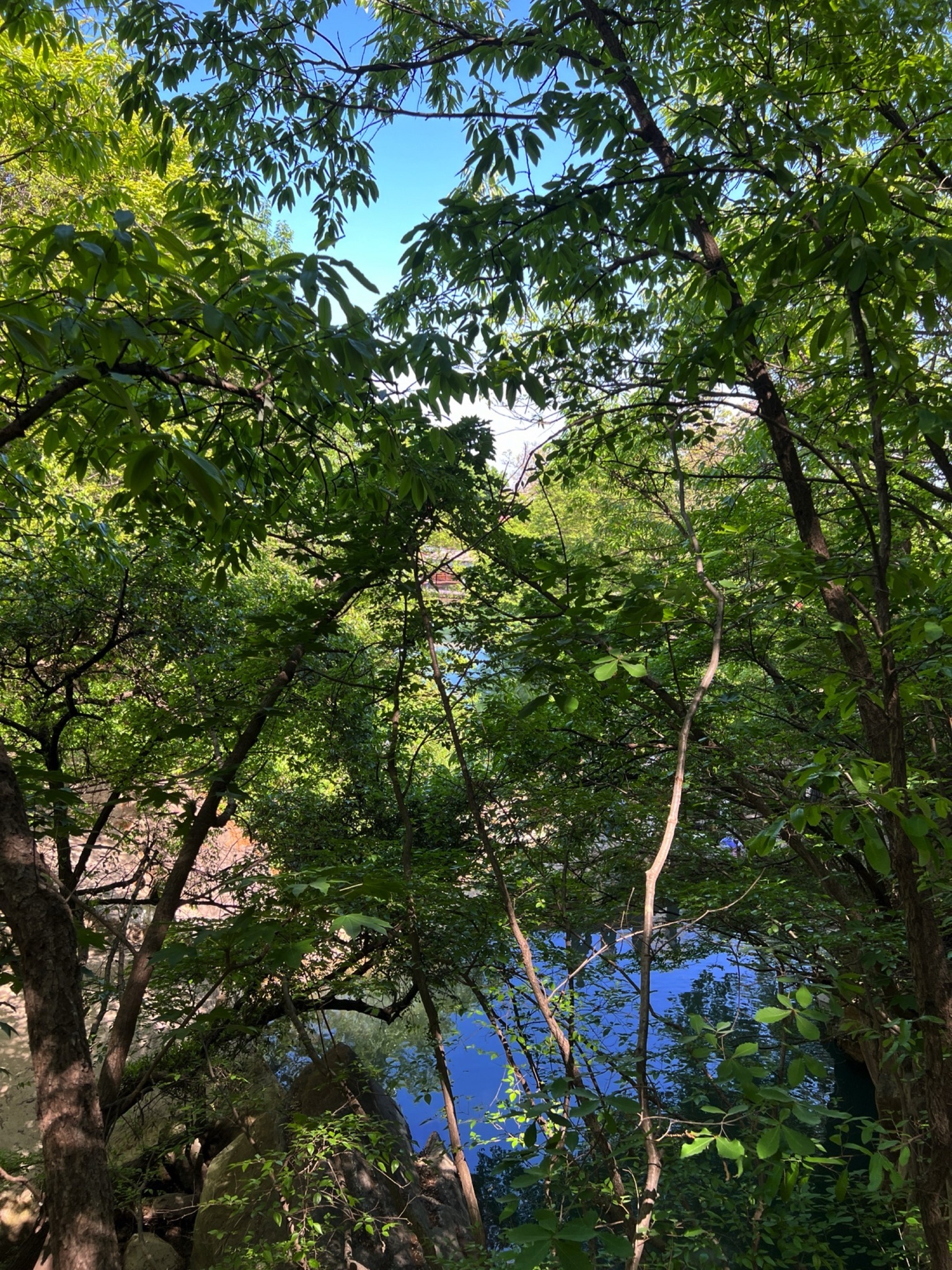 凰窝风景区旅行图片 1