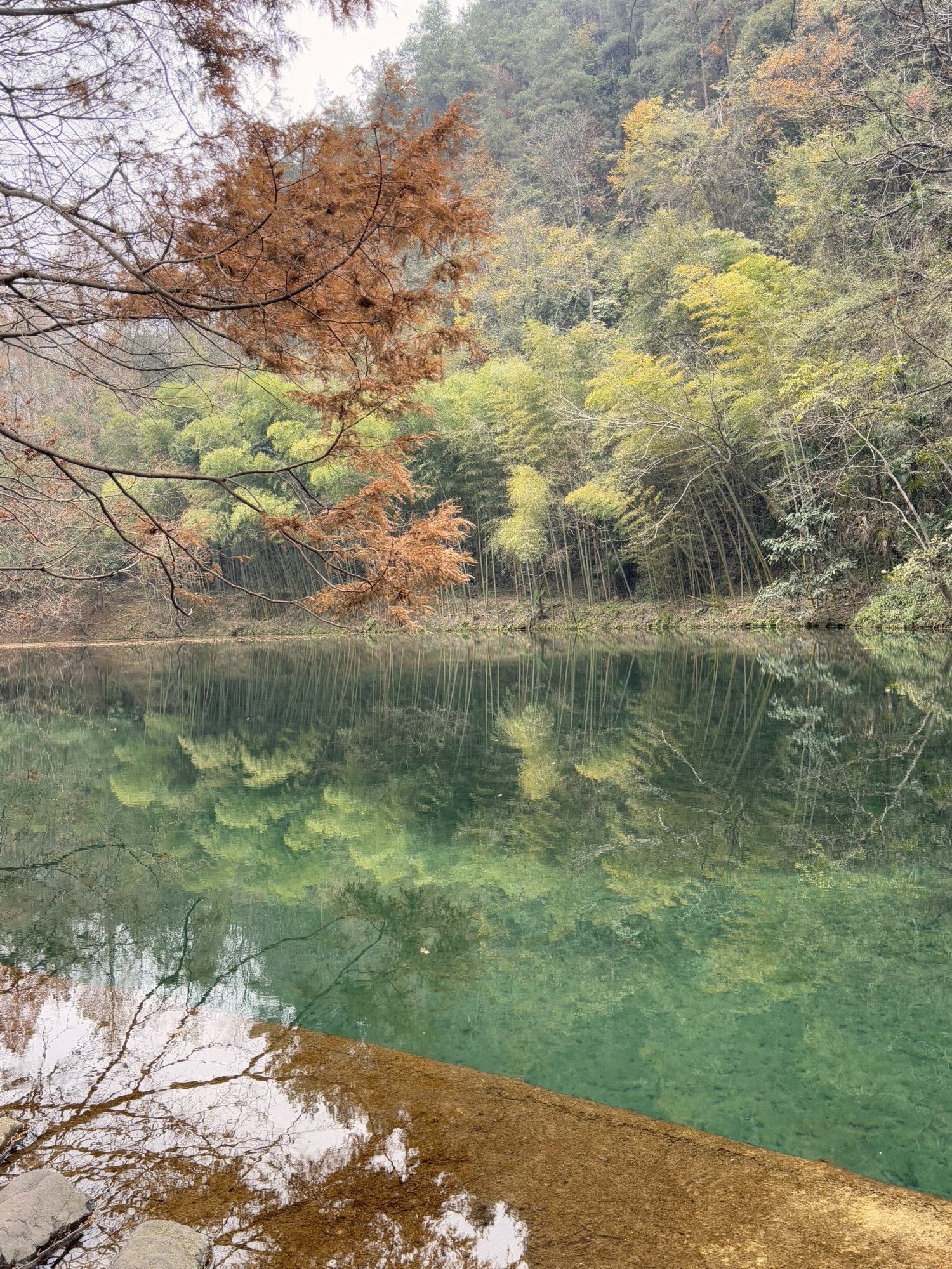朱家山国家森林公园